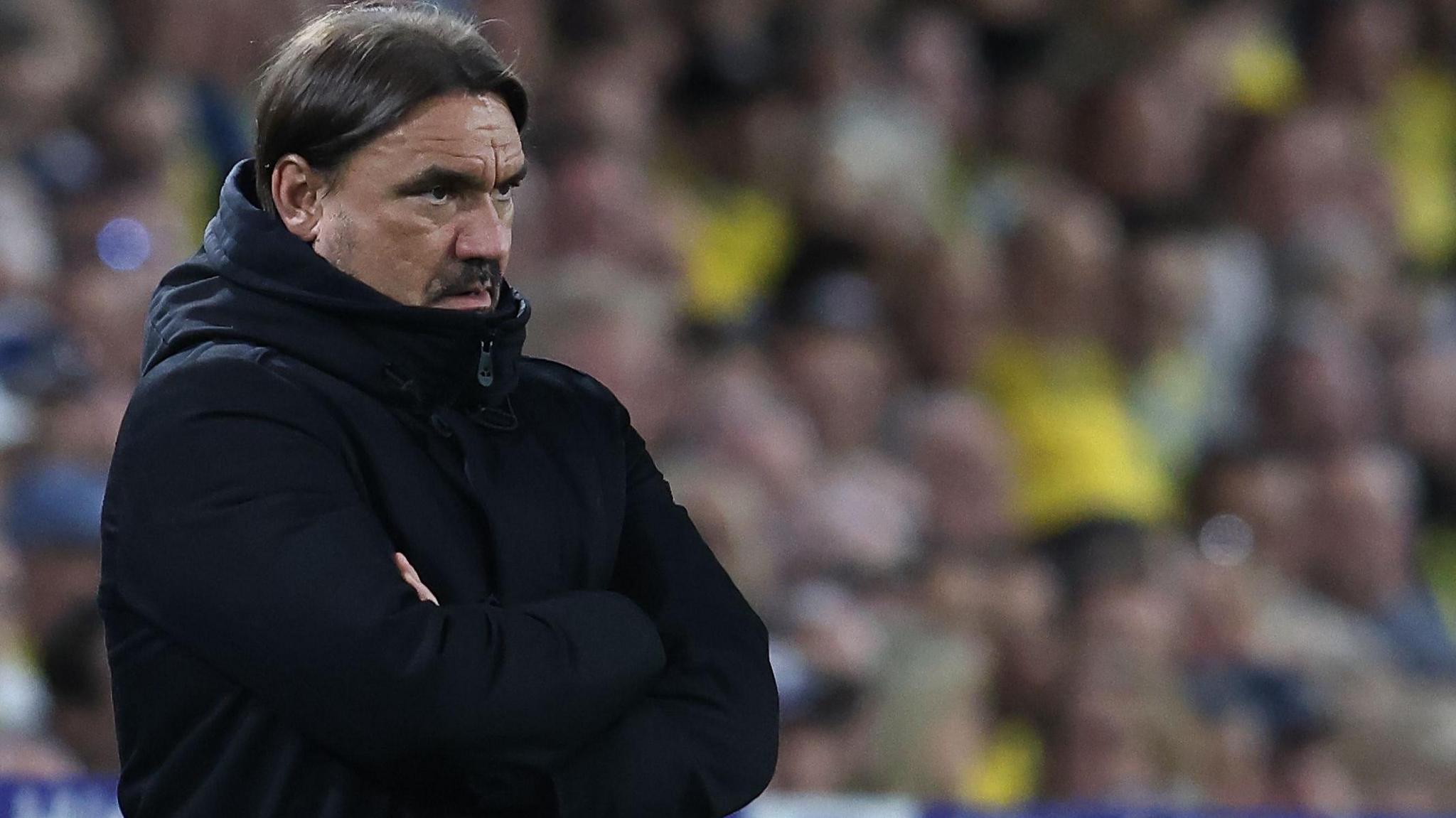 Daniel Farke looks on thoughtfully from touchline