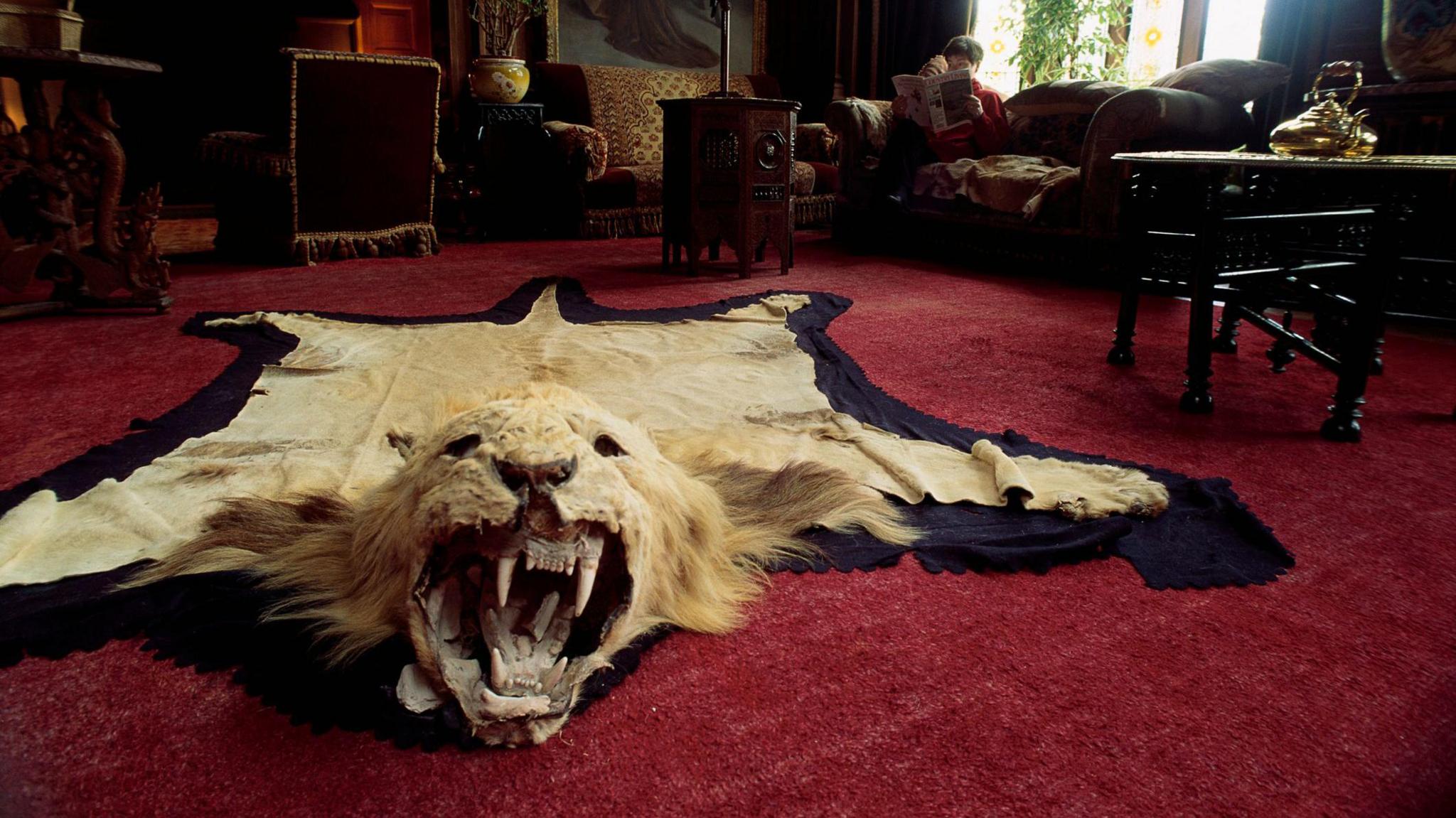 Brat-ùrlair de chraiceann leòmhainn 