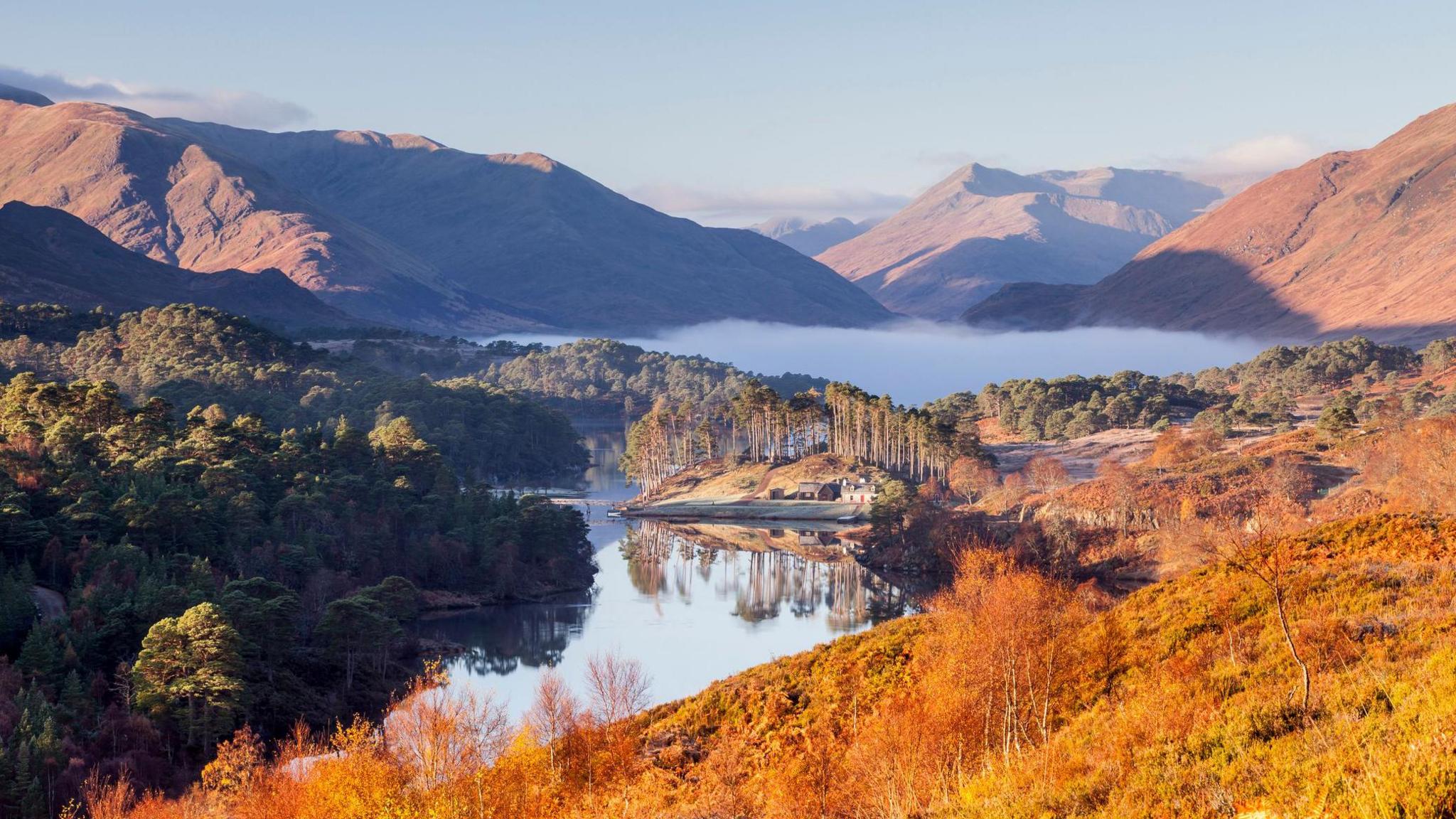 The landscape of heather, trees and mountains are in autumn colours of yellow and gold. There is a loch with trees reflected in it.