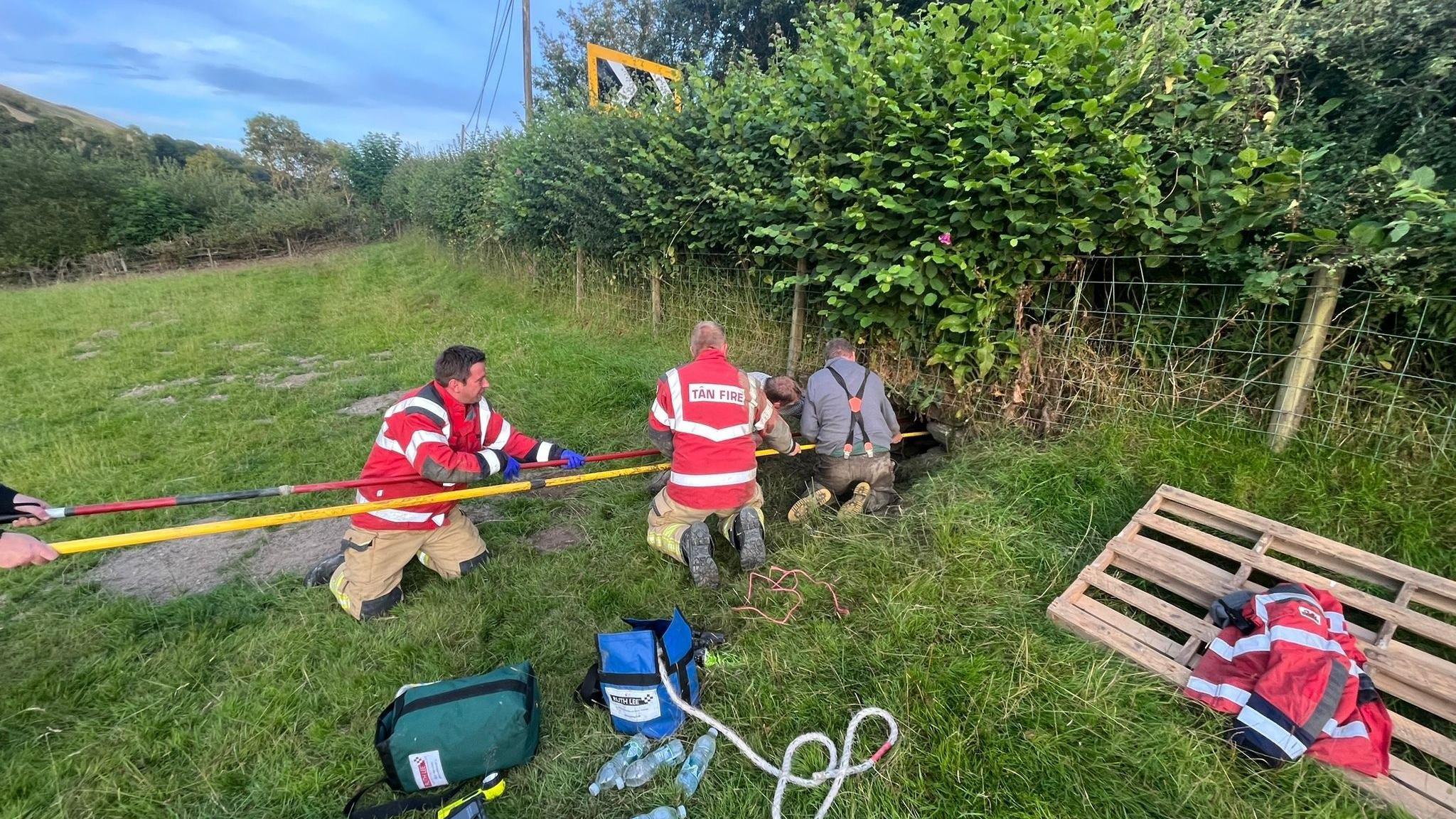 The fire fighters using two poles to rescue the lambs