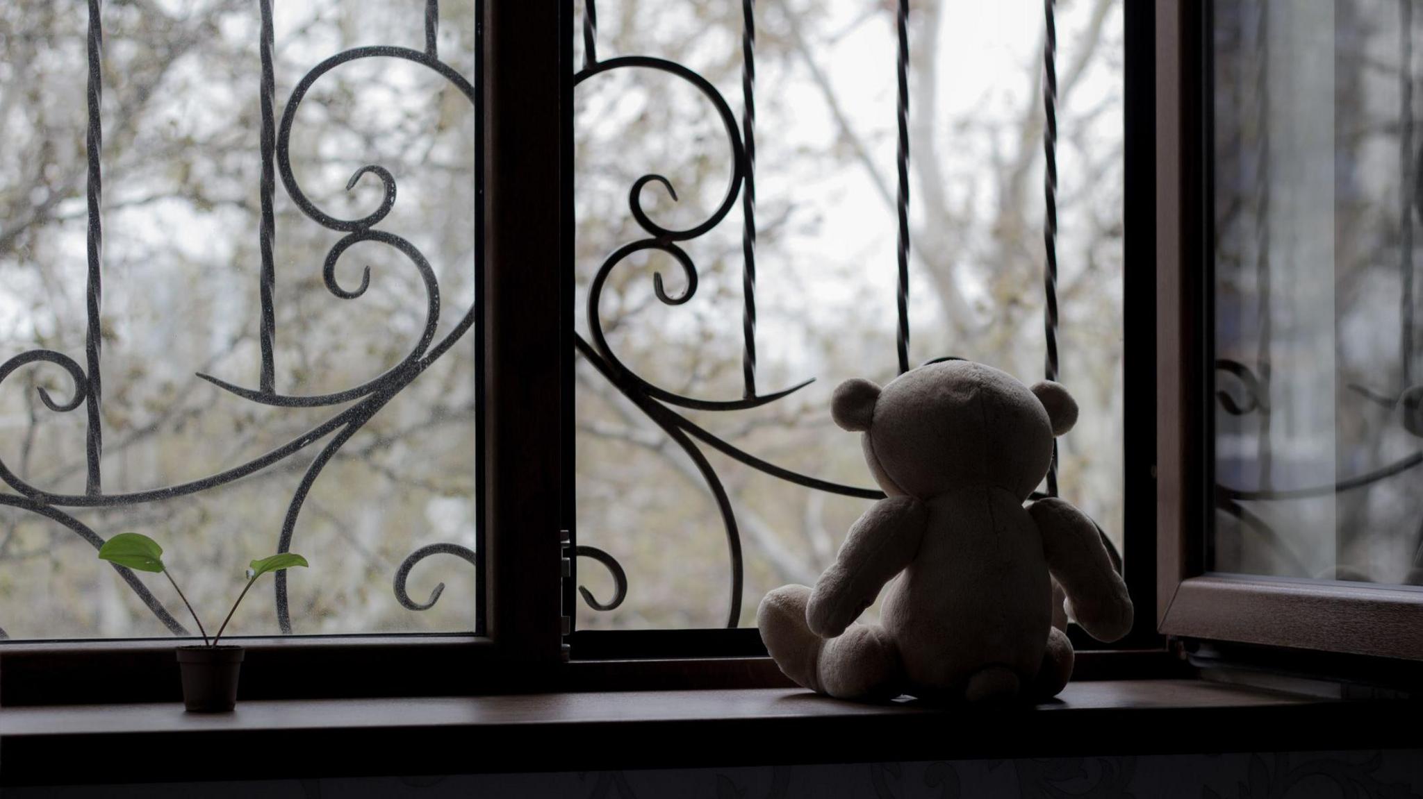 A brown teddy bear looks out of a window with its back to the camera