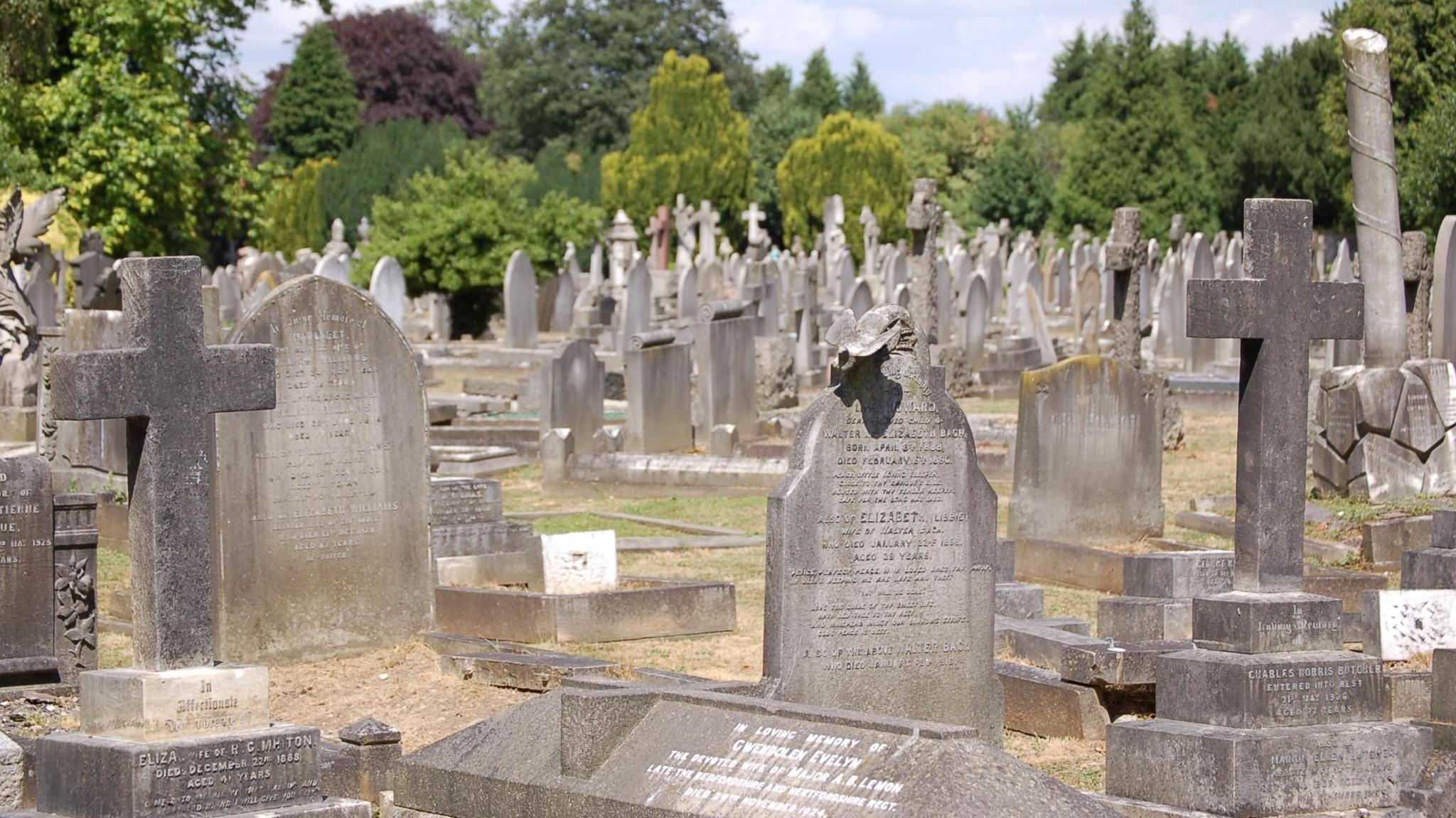 A wide shot of many graves in St Marylebone Cemetery in Finchley, London.