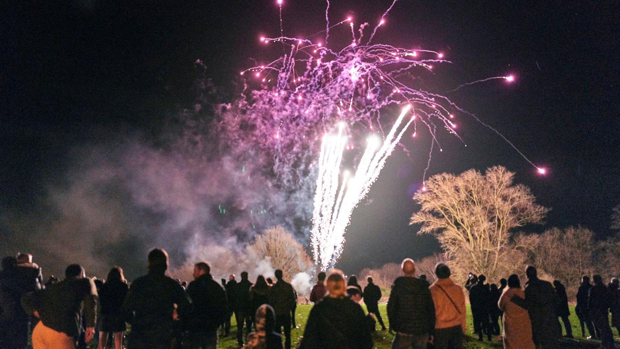 People watching fireworks go off