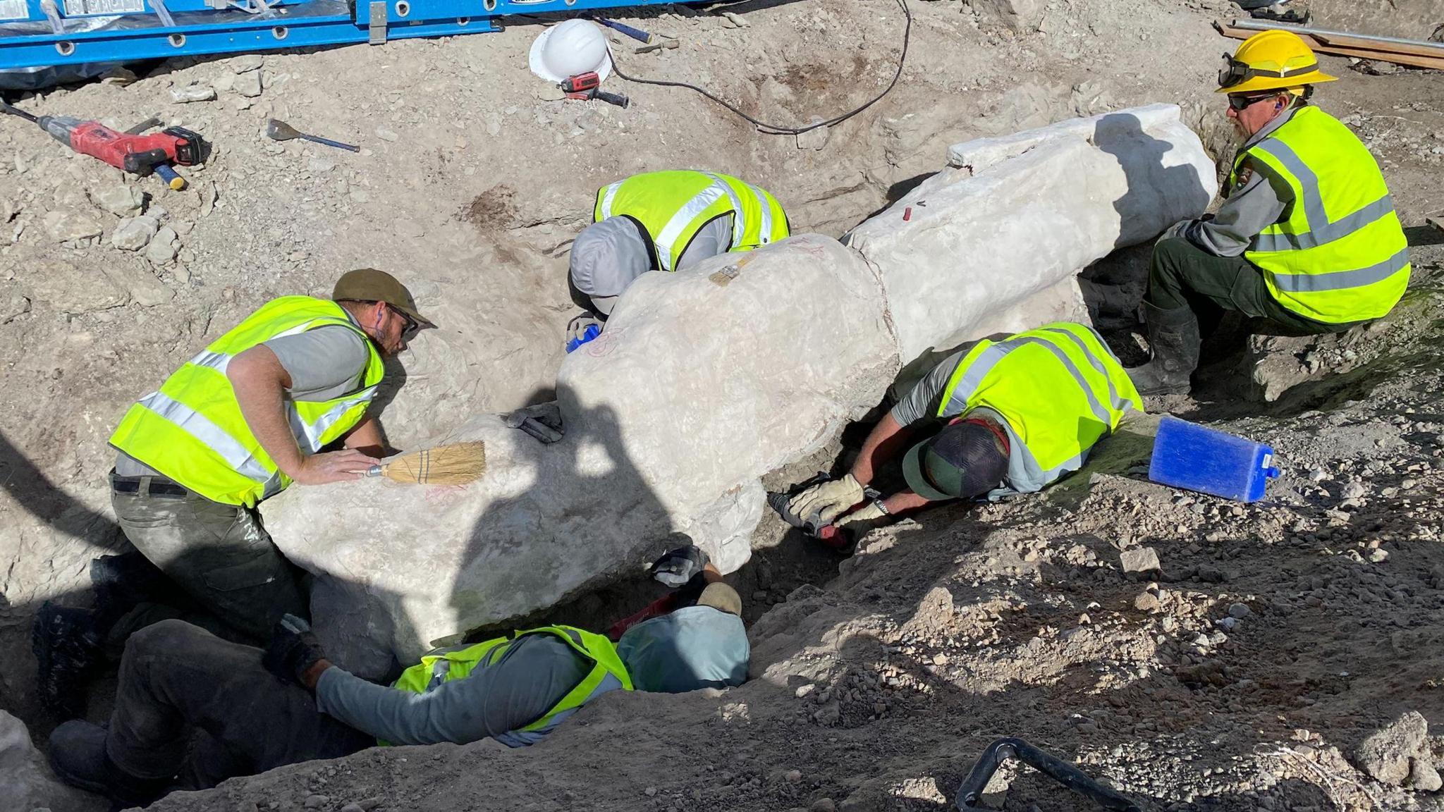 workers digging out dinosaur bones from the ground
