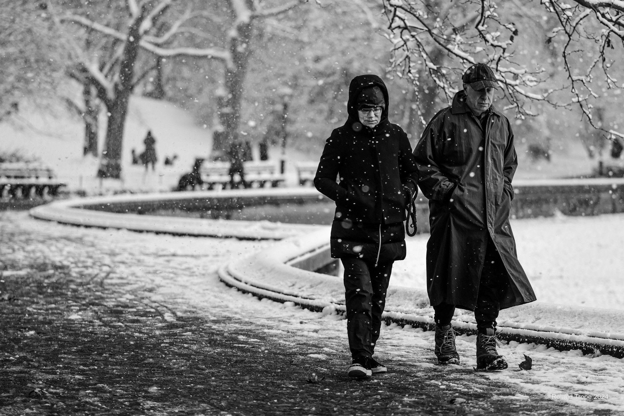 A man and a woman in winter coats and hats walk in a snowy landscape. They are on a path in a park and there are trees, people and dogs in the background. Both the man and the woman are looking down.