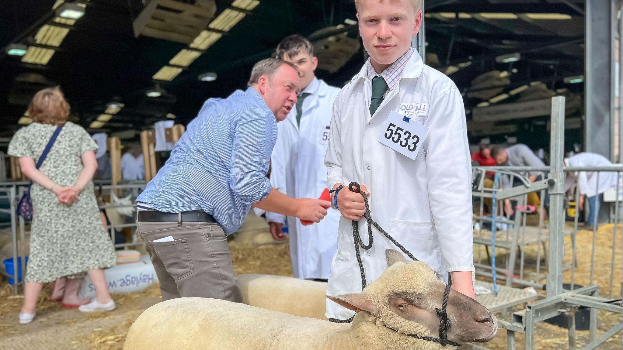 Young man in a white coat with a competition number pinned to the lapel, holding a sheep with a rope while a man brushes its wool