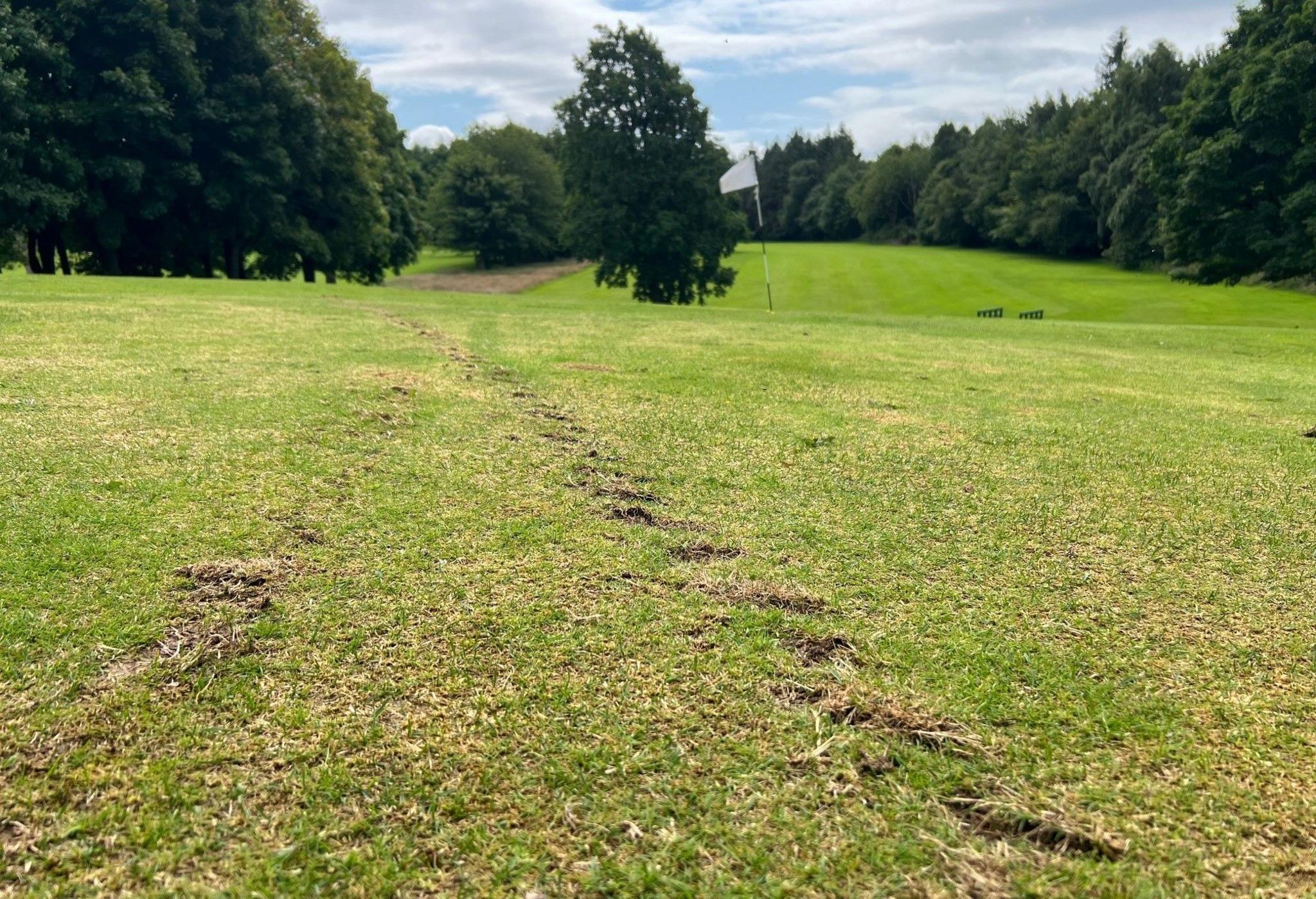 Caird Park vandalism