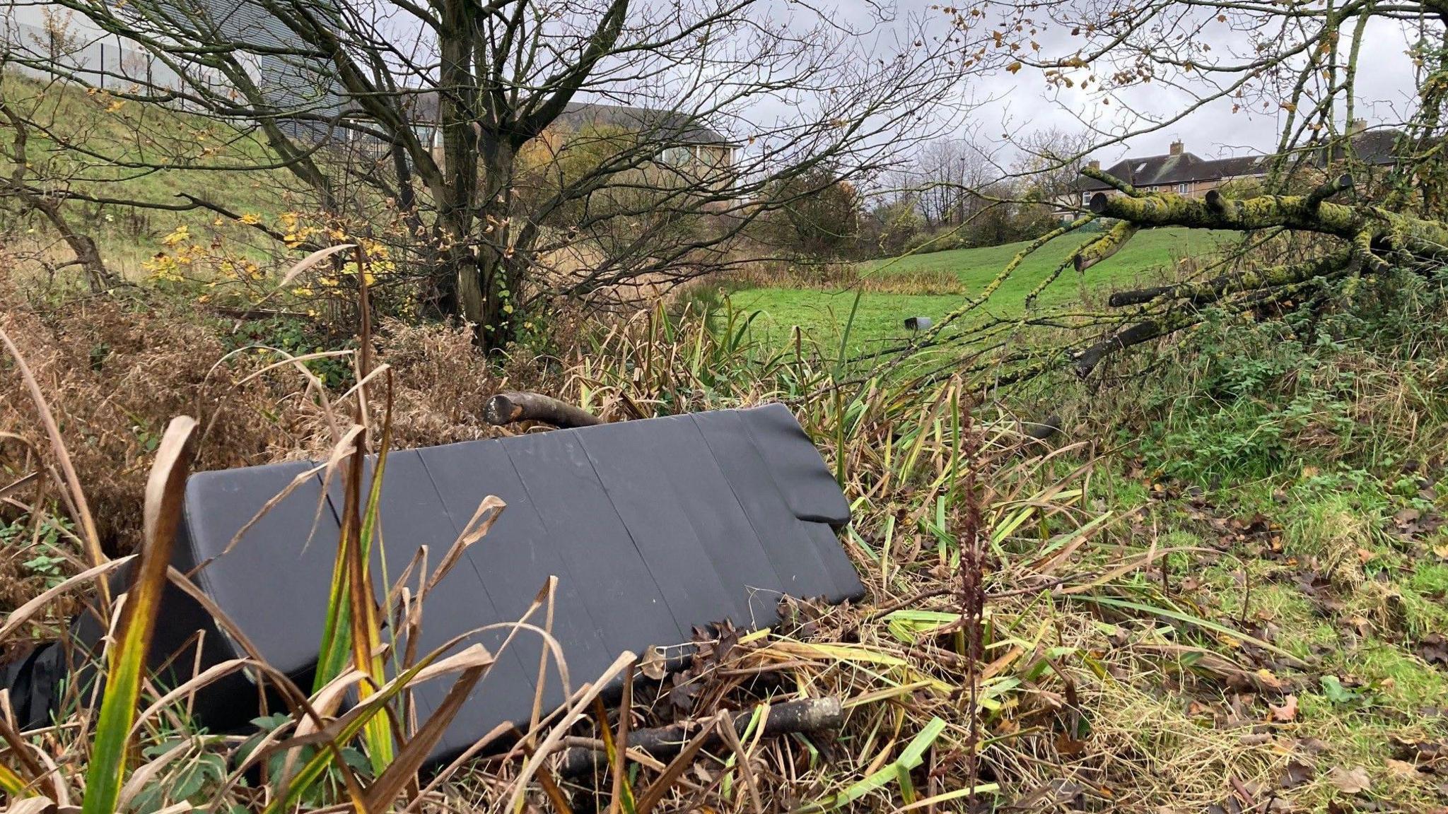 A black sofa overturned among reeds and opposite a fallen tree covered in green lichen  