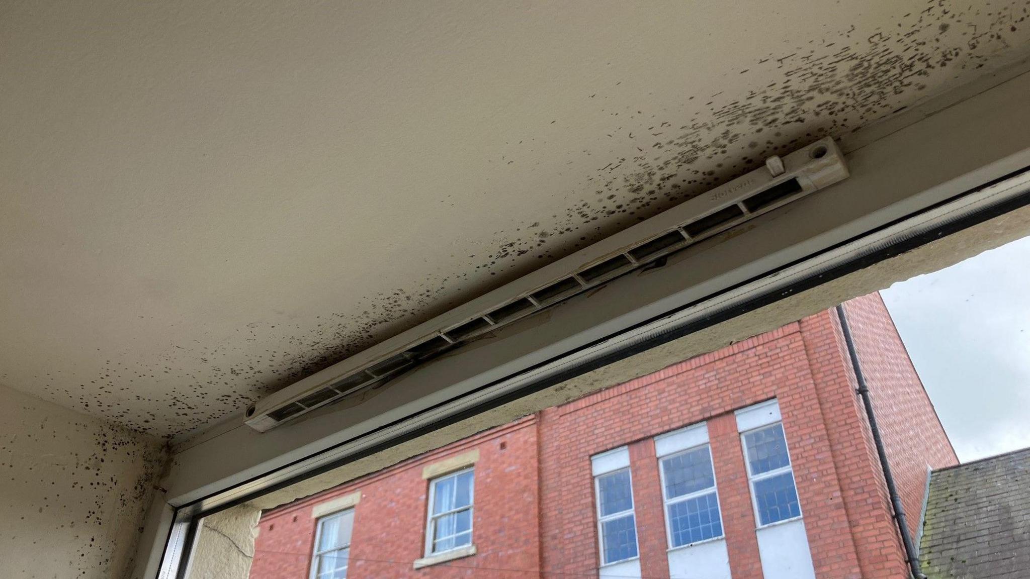 Mould on the ceiling