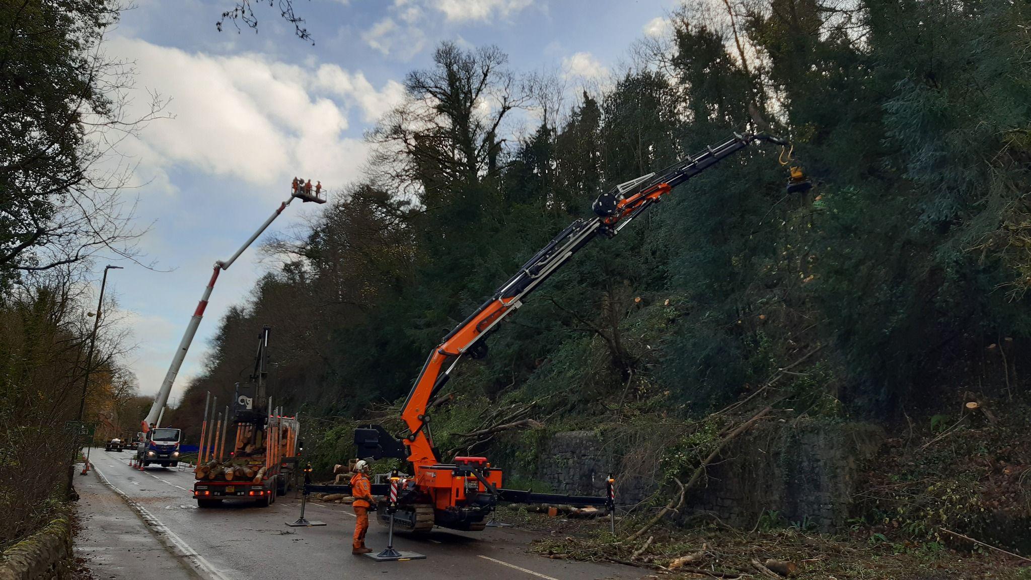Heavy machinery being used to clear large trees hanging over a road 