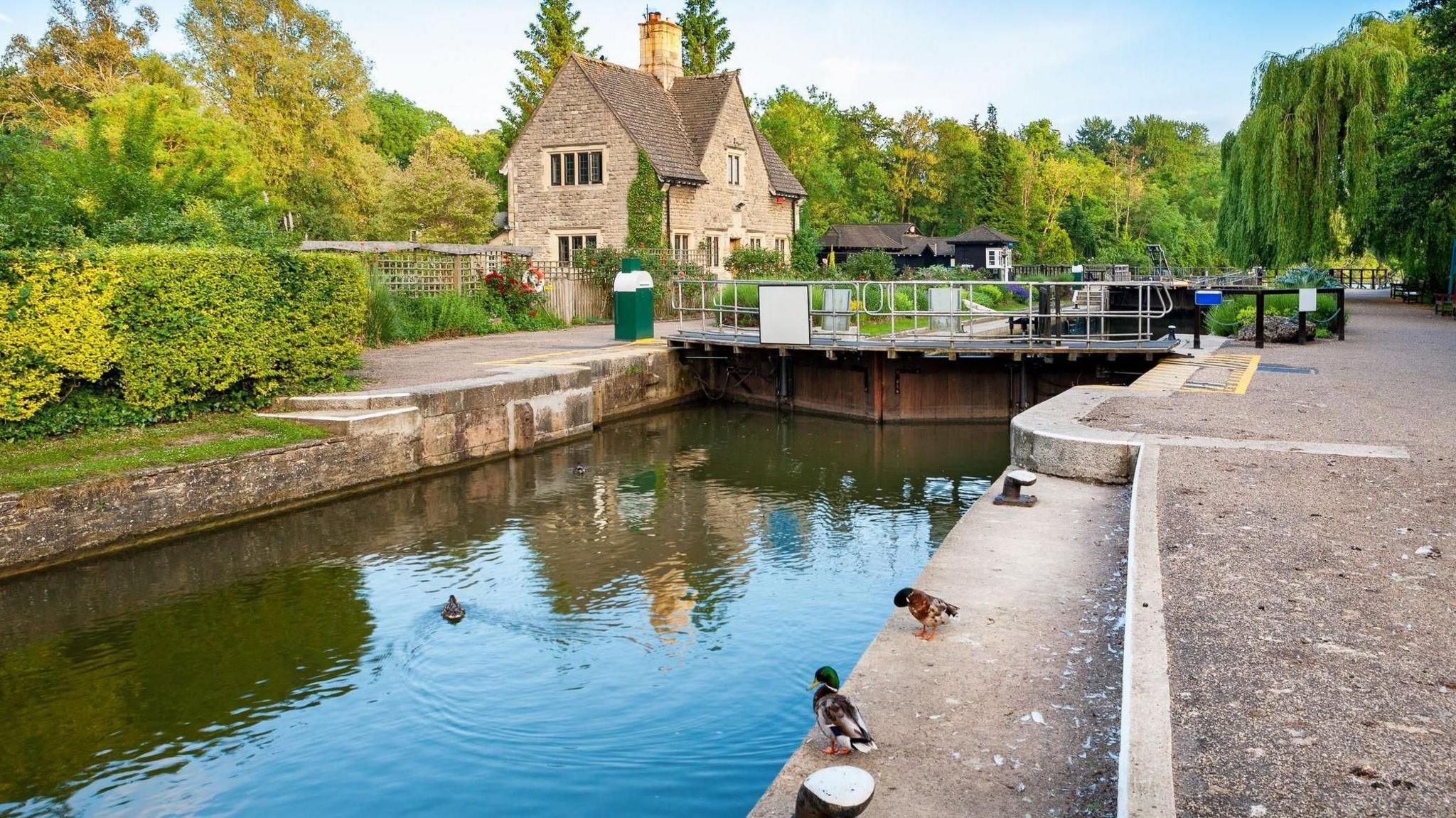 Iffley Lock, with a house in the background and two ducks standing on the side of the lock. Another duck is in the water