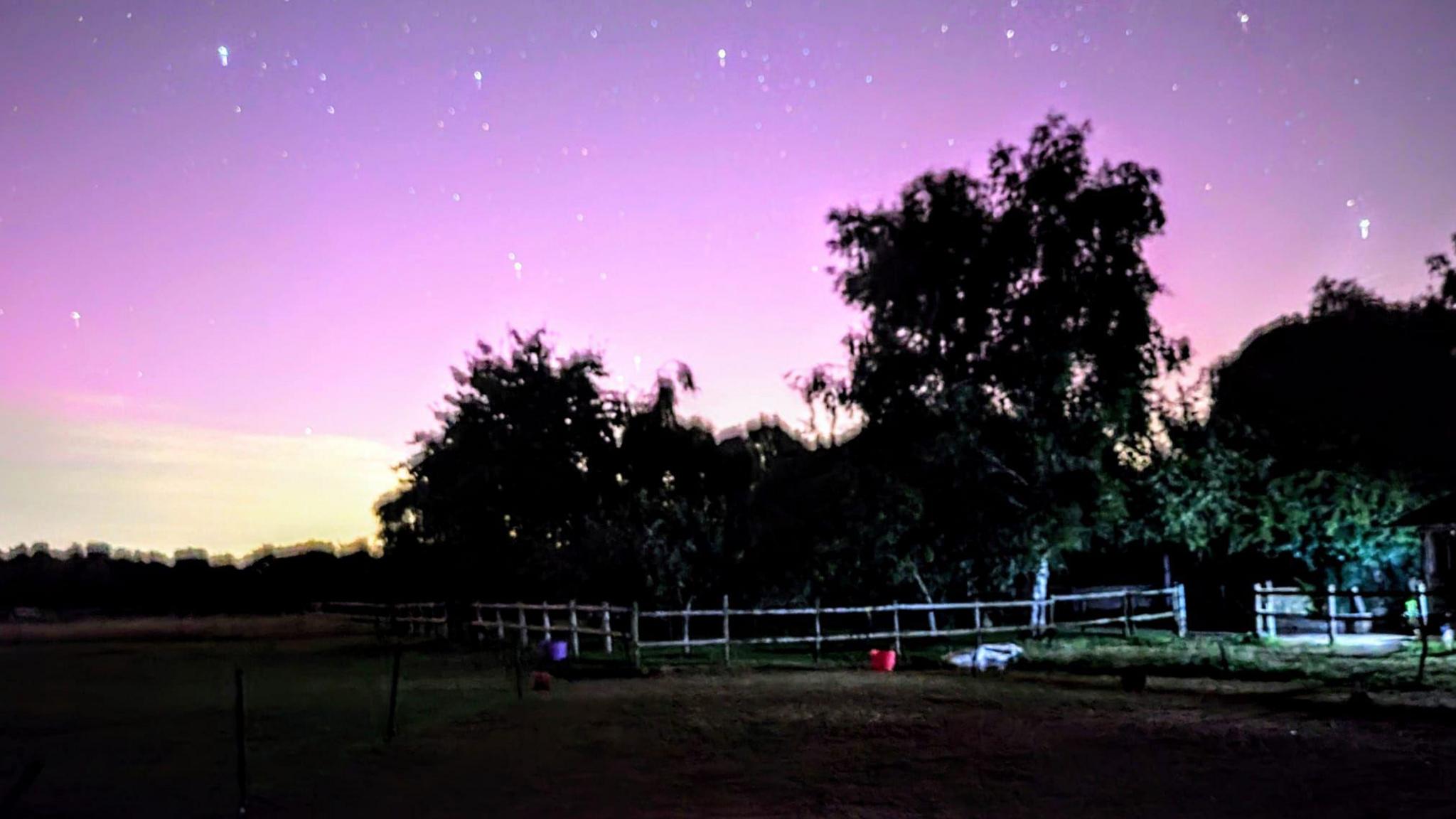 A shot of a green space with purple skies 