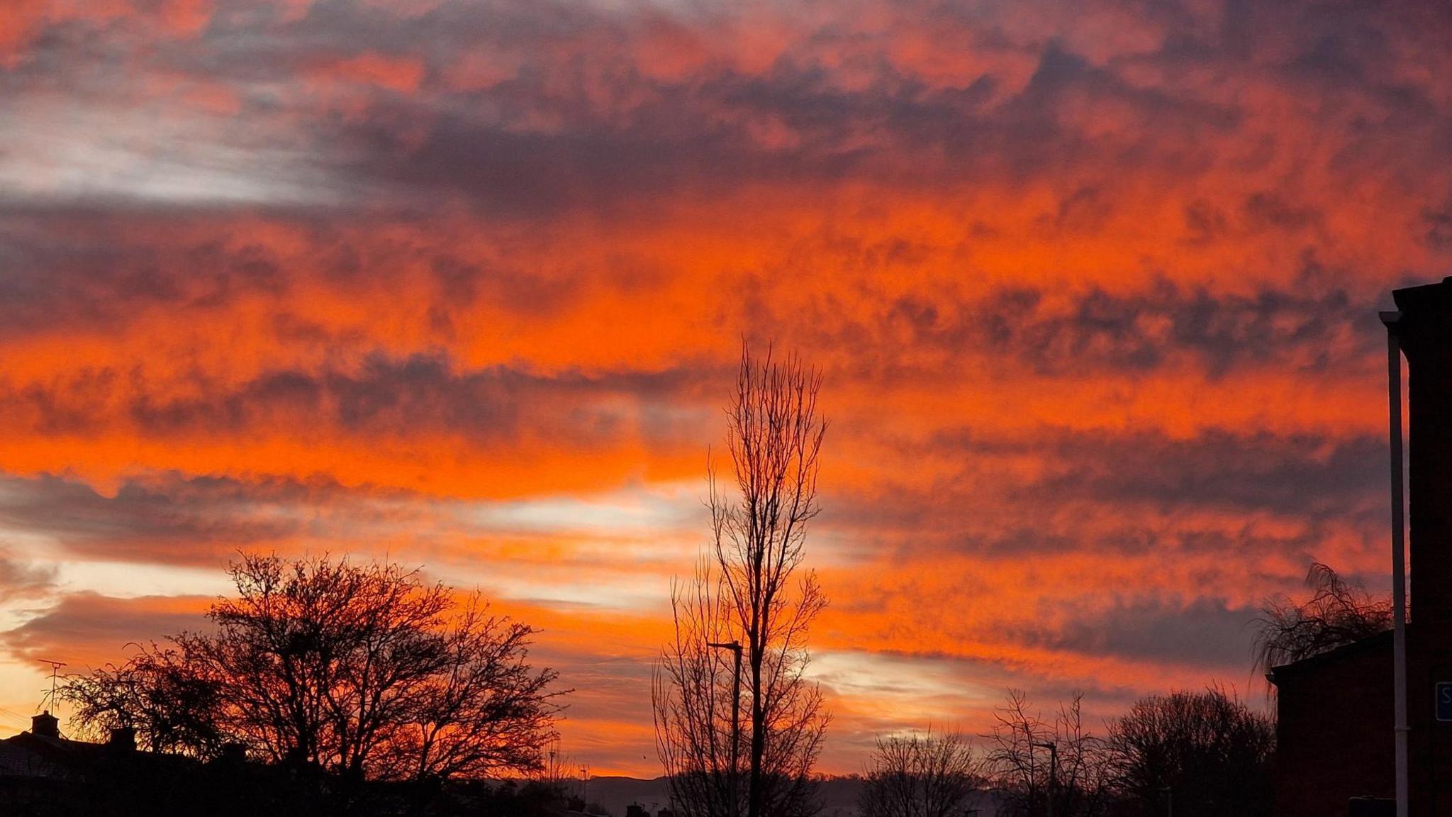 A red sky with trees in the foreground.