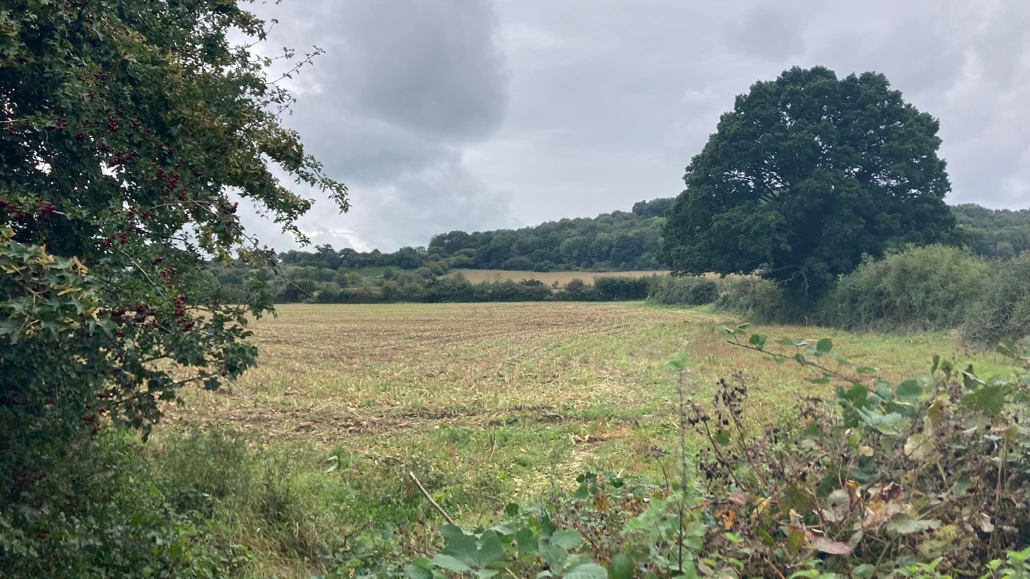 A photo of a field on Herne Hill 