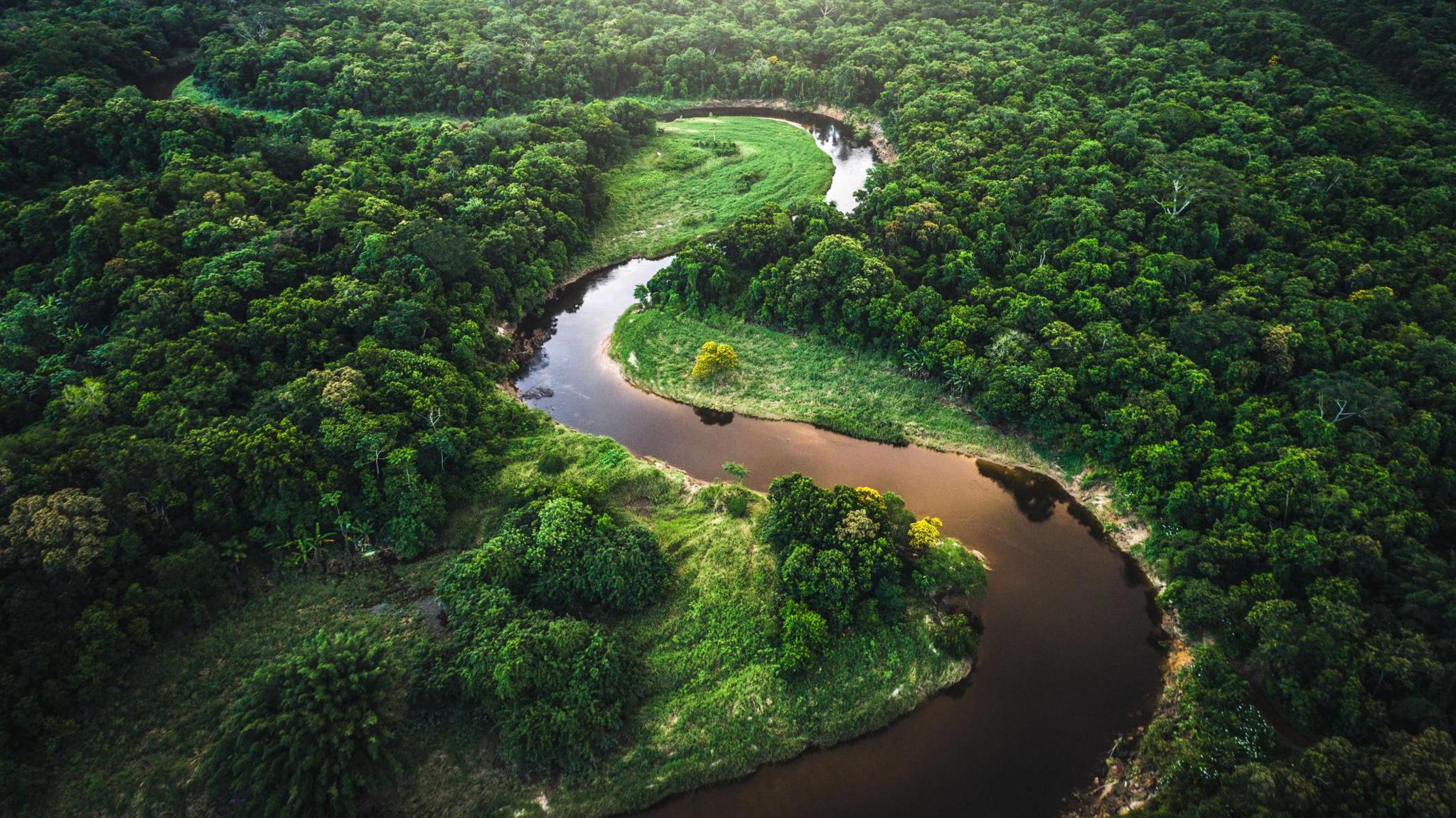 amazon river in amazon rainforest.