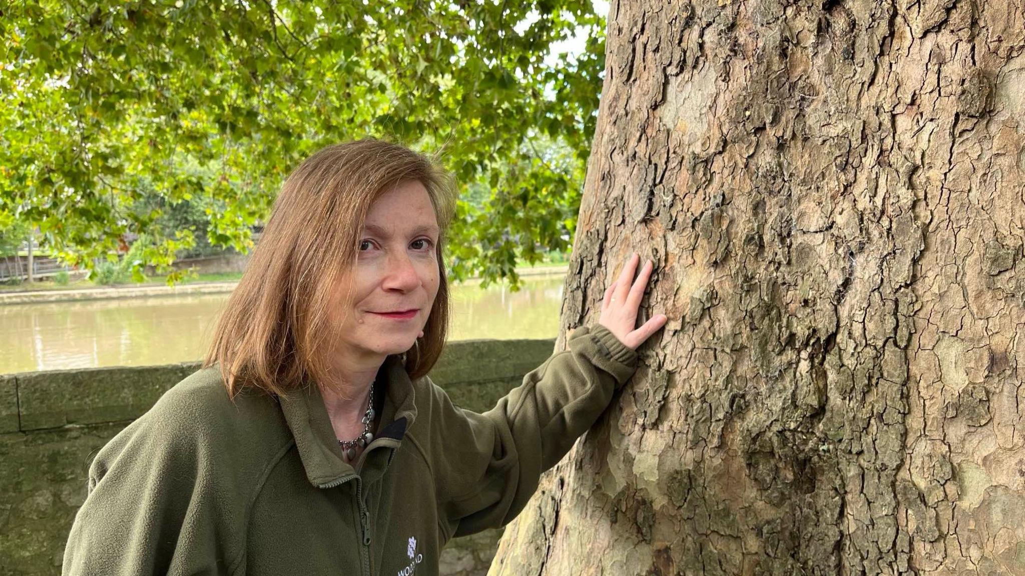 Bridget Fox from The Woodland Trust leans against a Plane tree beside the River Medway in Maidstone