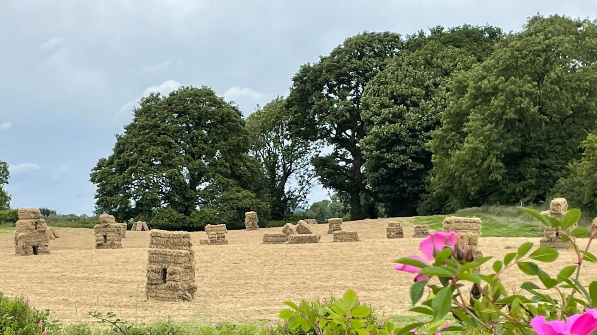 A field with hay bales freshly cut.