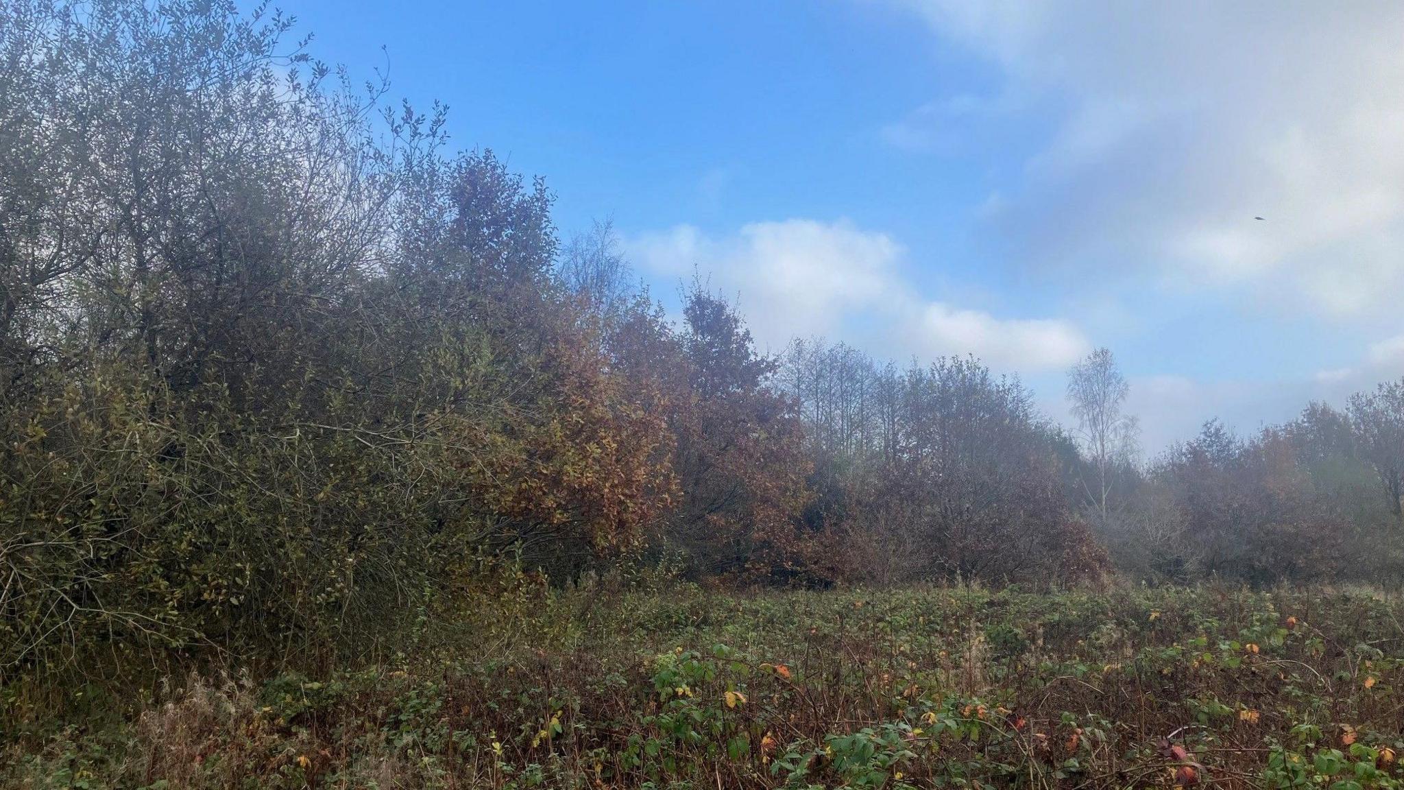 Picture of a field next to Longsight Park in Harwood, where some of the homes would have been built.