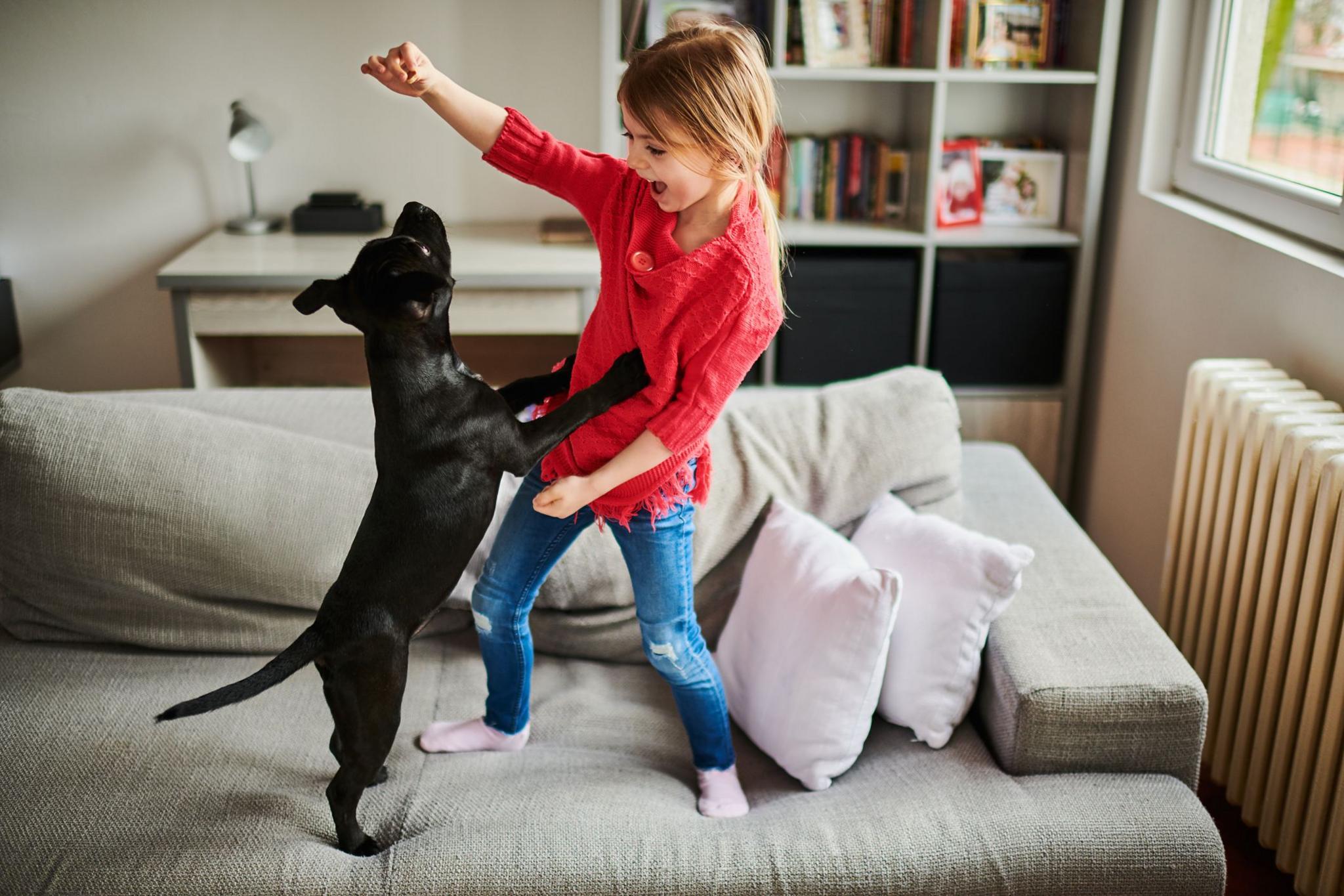 girl dancing on the sofa with a dog