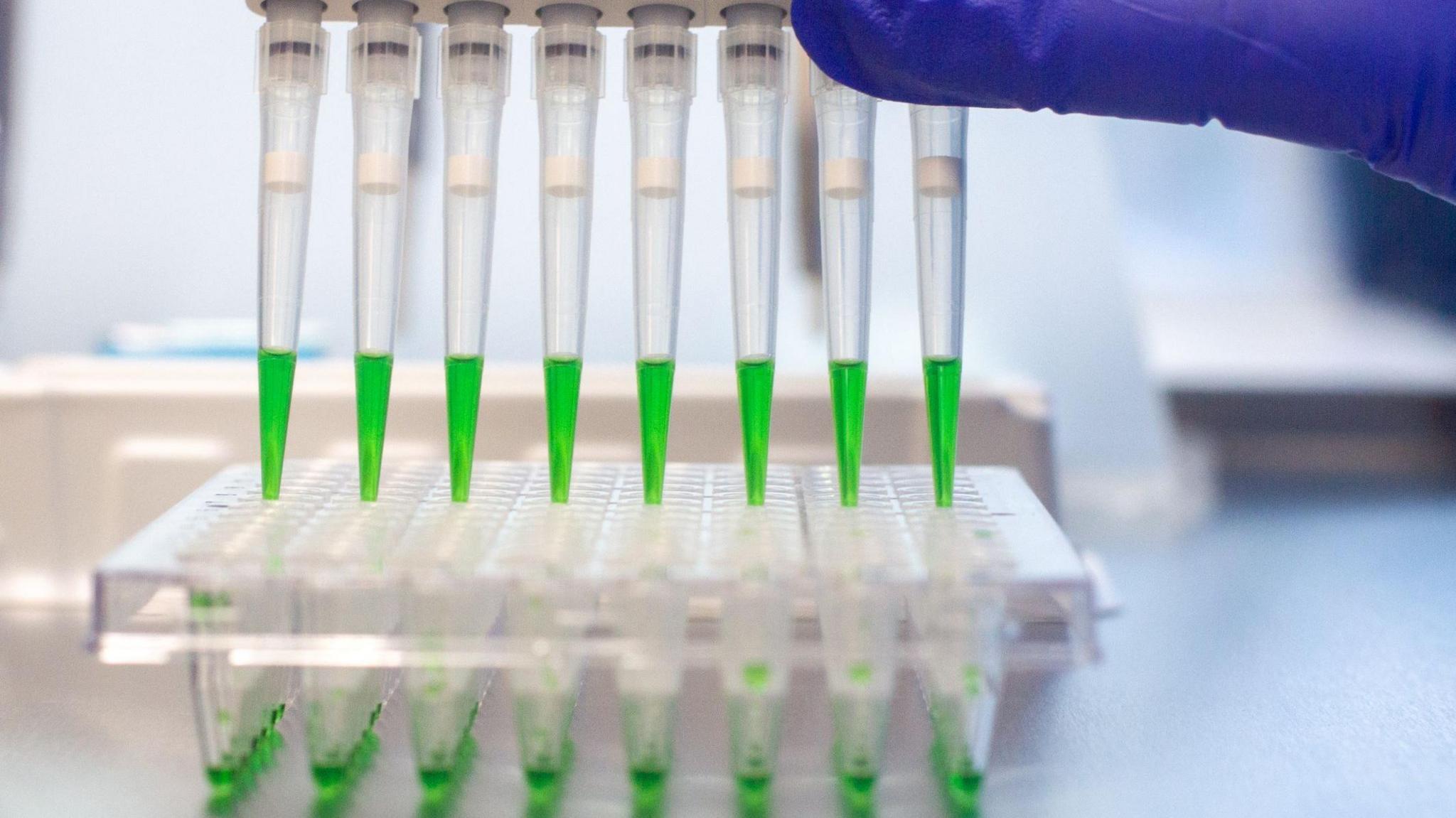 Pipettes filled with a green liquid are tested