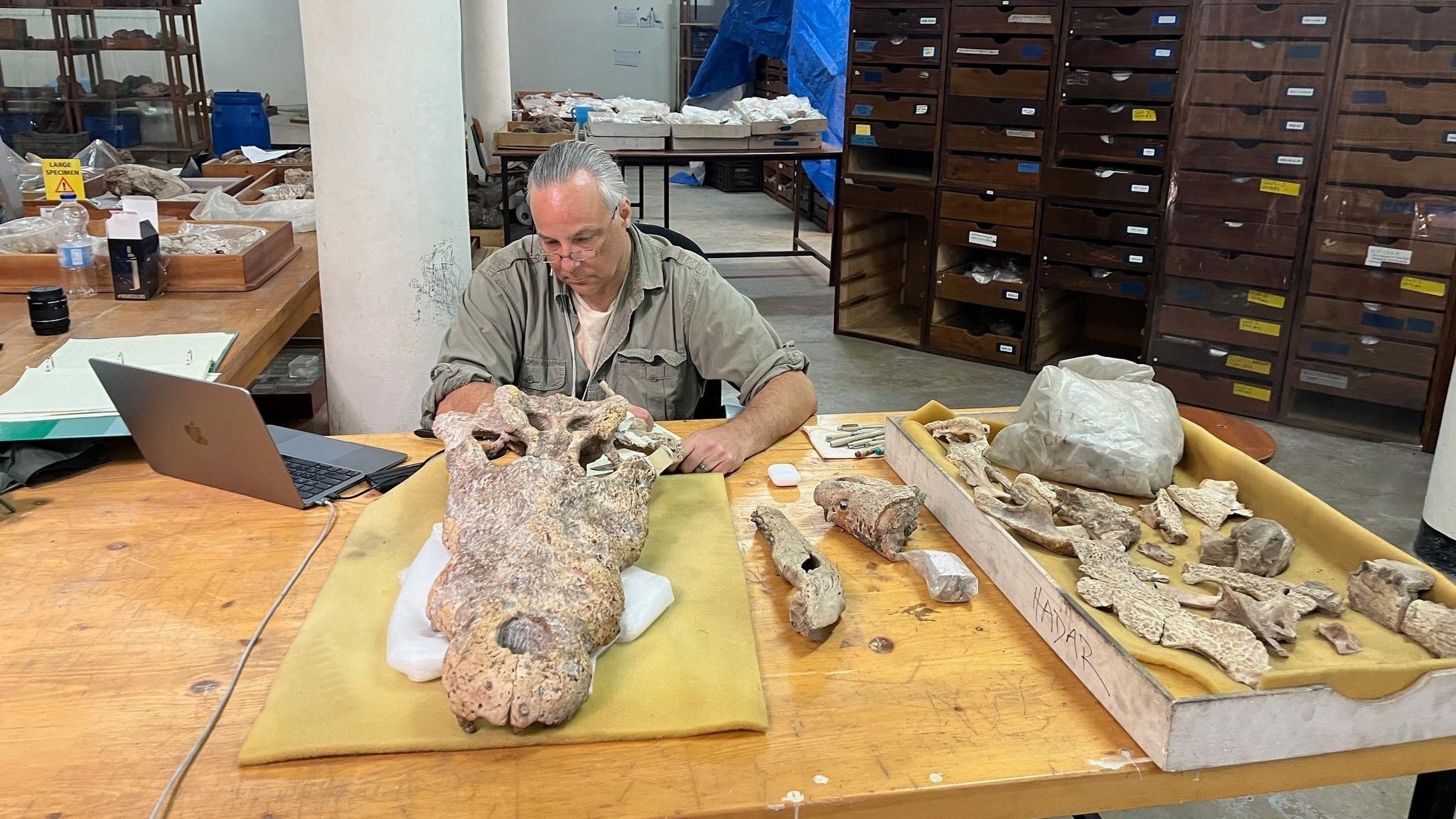 Christopher A. Brochu inspecting some specimens