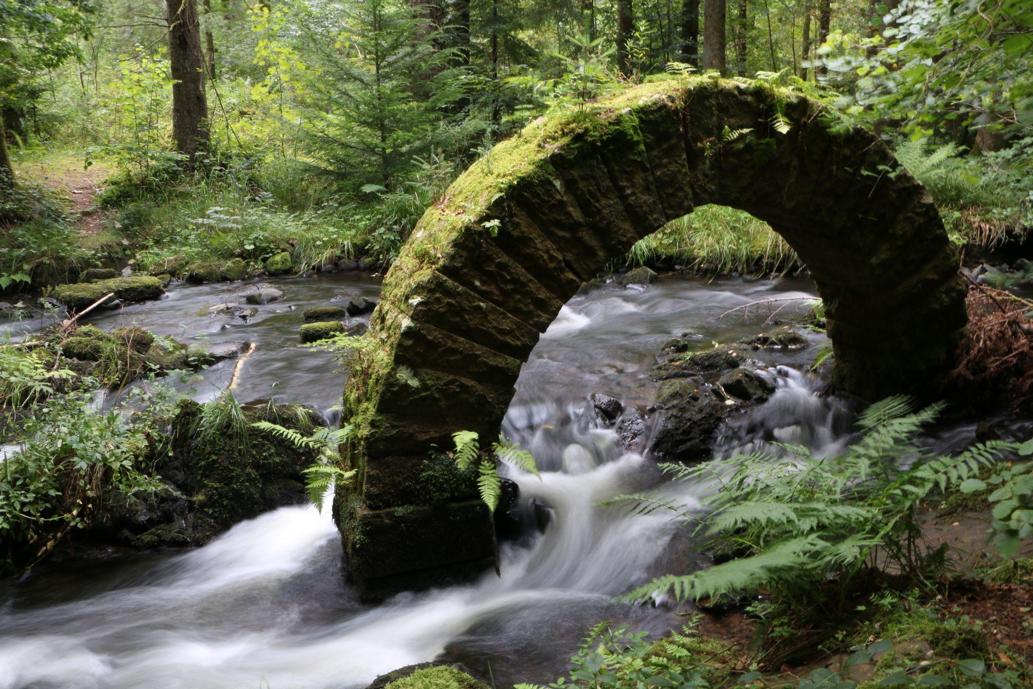 Streaming water in a burn, captured on slow shutter speed to give the water a ghostly, blurred effect as it flows below a moss covered stone arch, surrounded by tree's in a forest looking area.