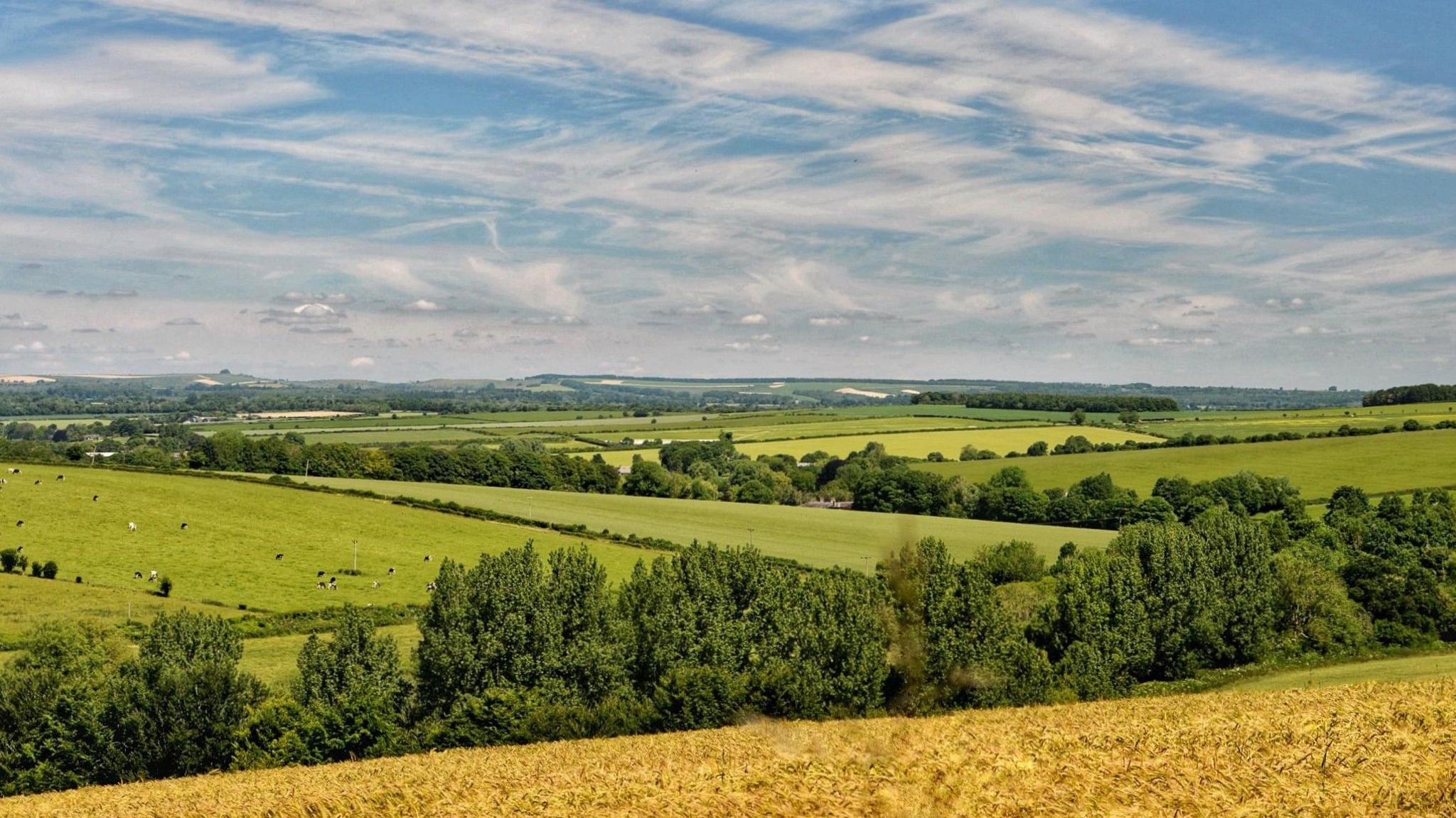 MONDAY - Green fields and a blue sky over Tarrant Valley in Dorset