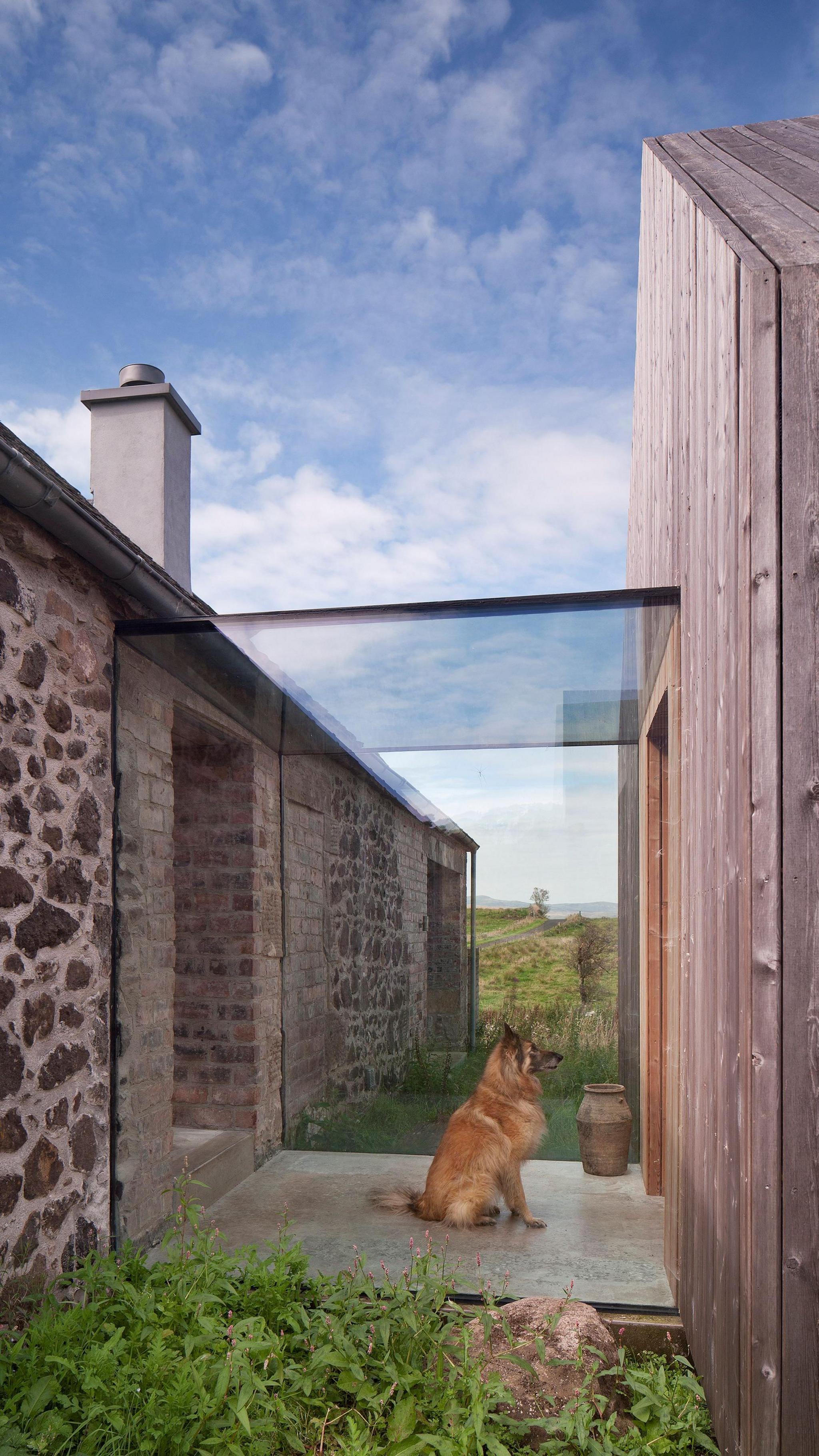 A dog in a glass section of the house