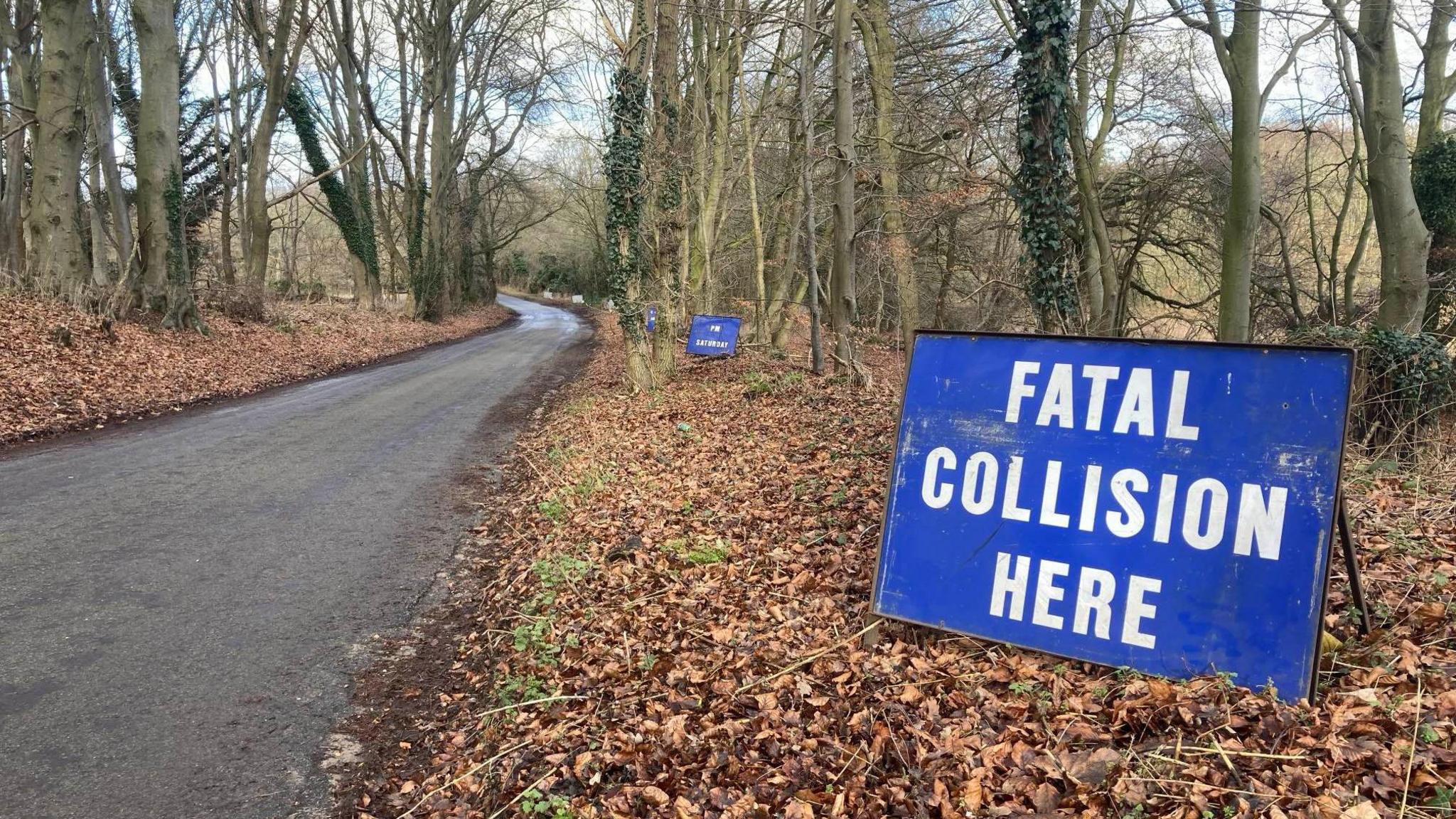 A rural lane with trees and dead leaves either side. Blue police signs saying 'fatal collision here' line the right hand side of the lane