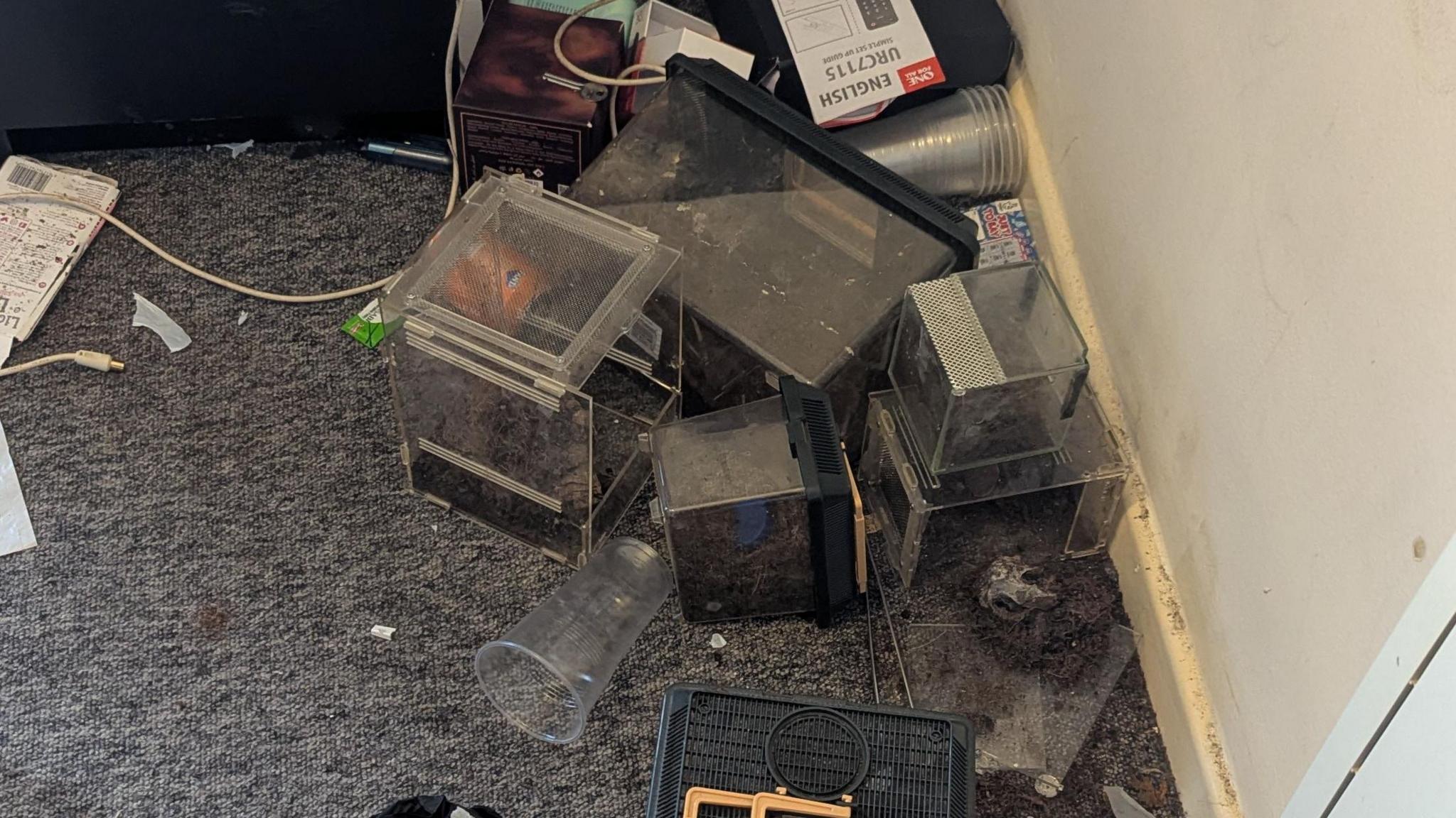 Six enclosures on a grey carpet. There is lots of debris on the floor, including plastic cups and cables. Some of the enclosures are lying on their side, with their contents spilling out onto the carpet. The enclosures are see through, with black lids.