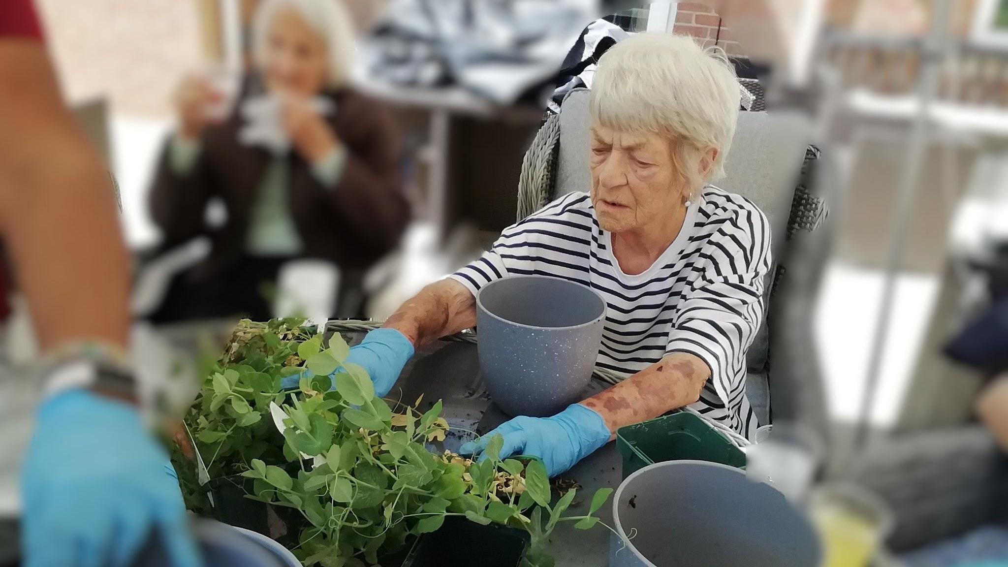 A woman with short white hair and wearing a stripy black and white top and blue gloves. She's sitting outside at a table, and repotting a seedling.