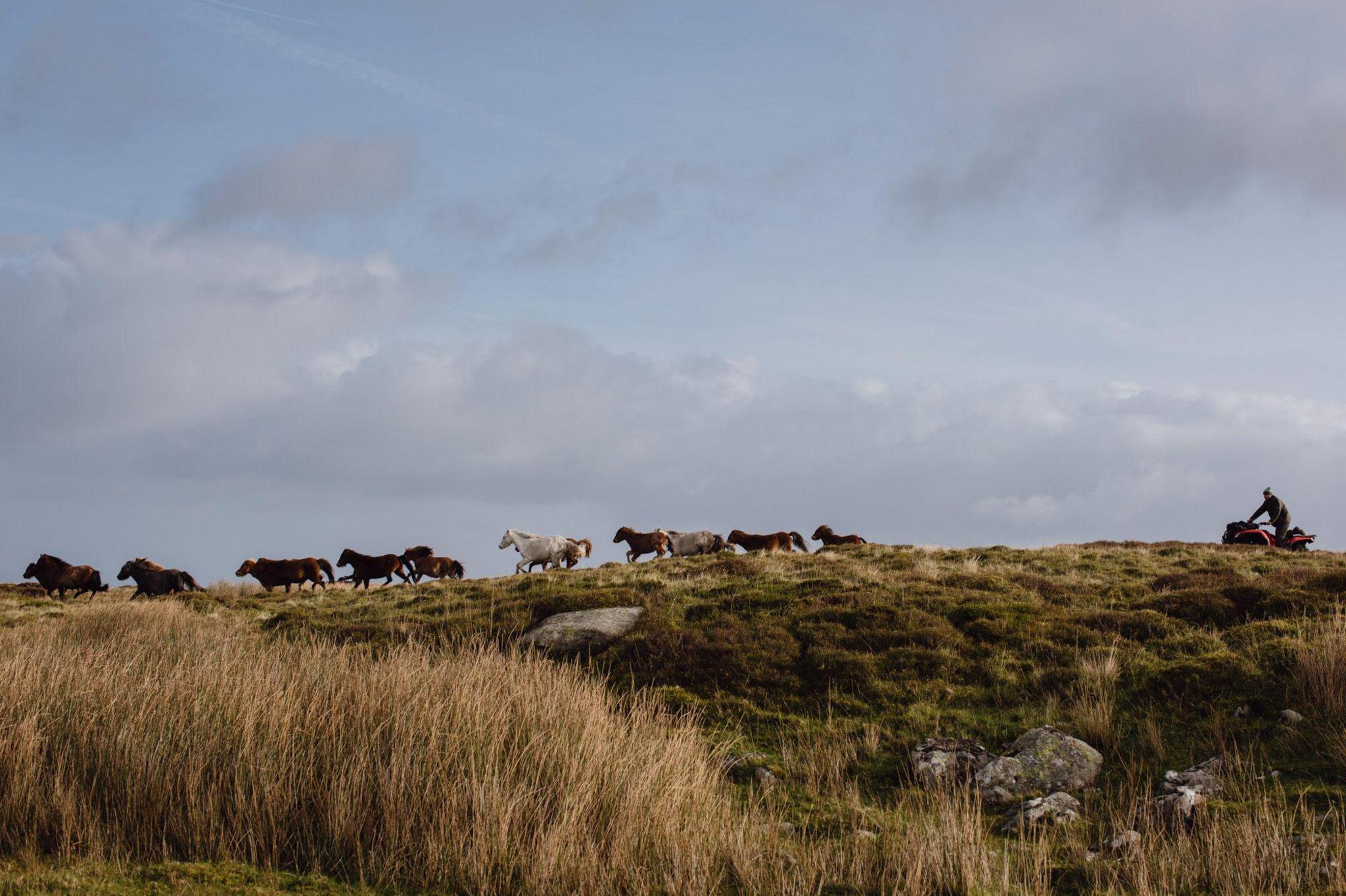 Ffermio'r Carneddau