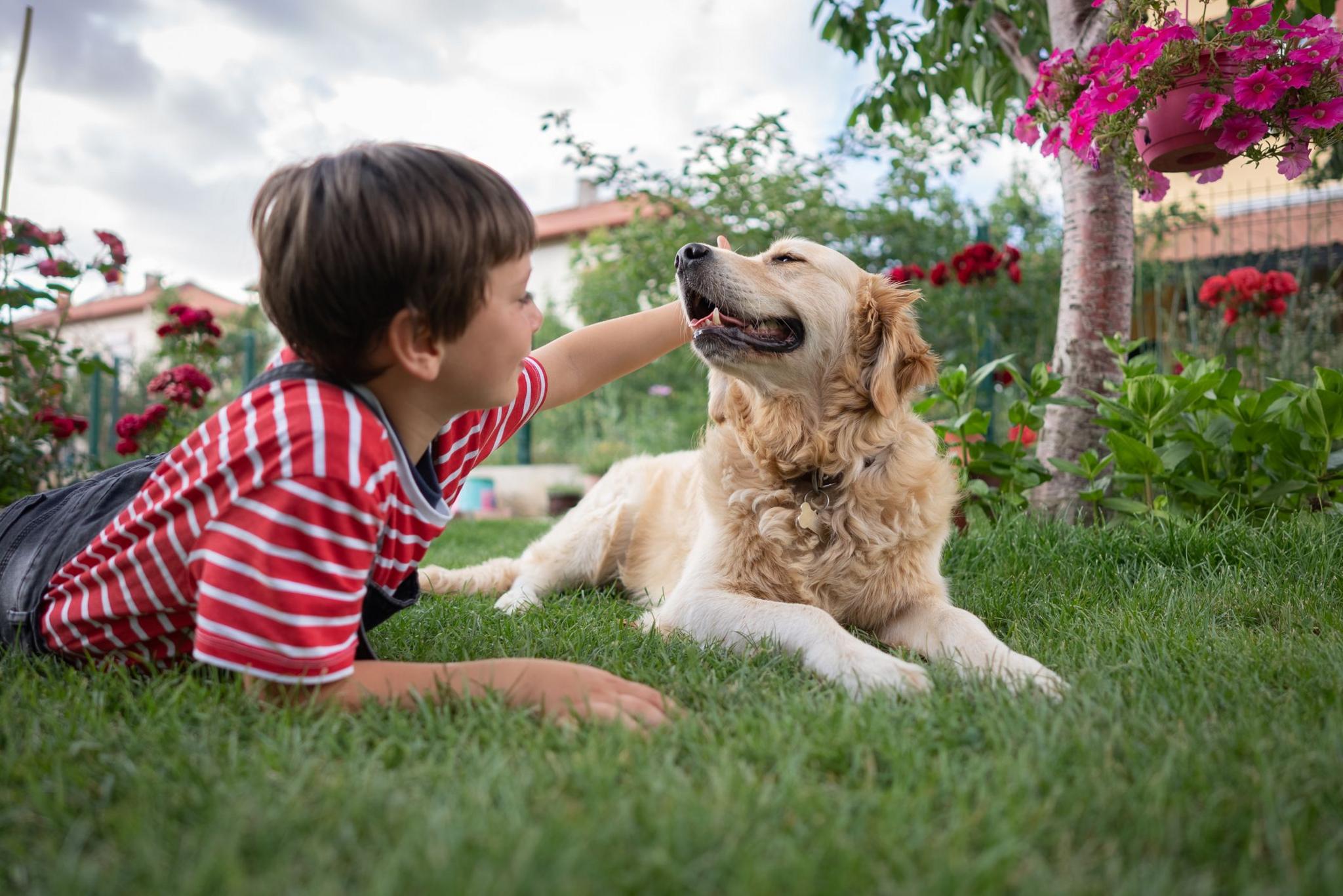 boy petting dog. 