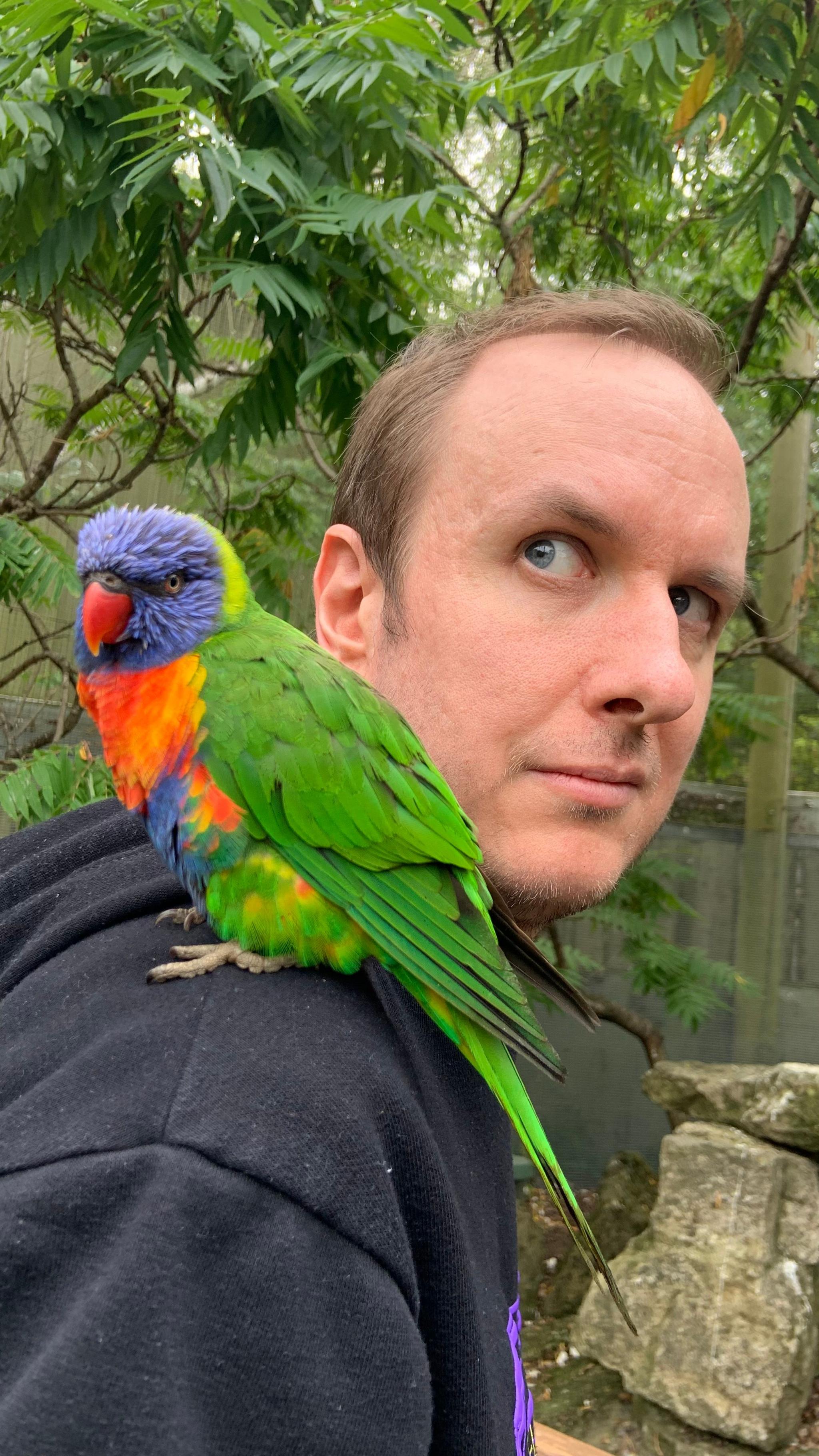 David with a parrot on his shoulder