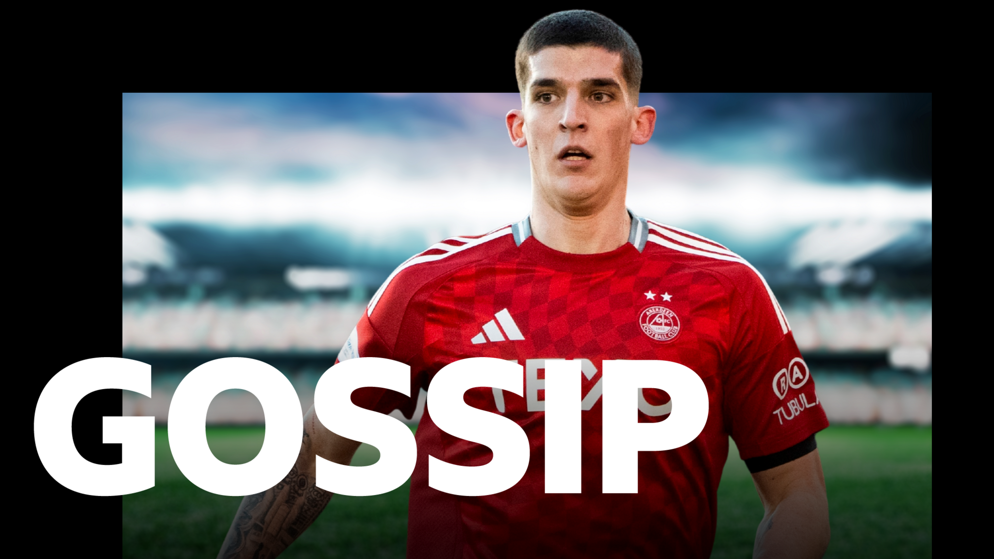 Aberdeen defender Slobodan Rubezic