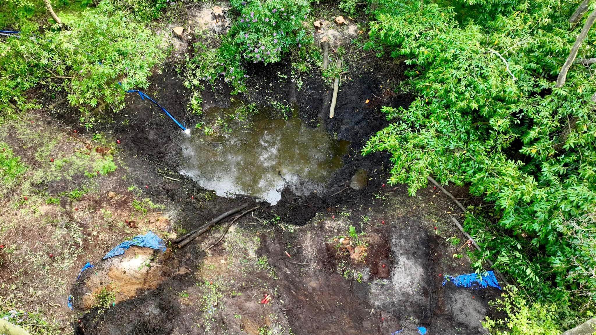 A plane crash crater in the middle of a woodland