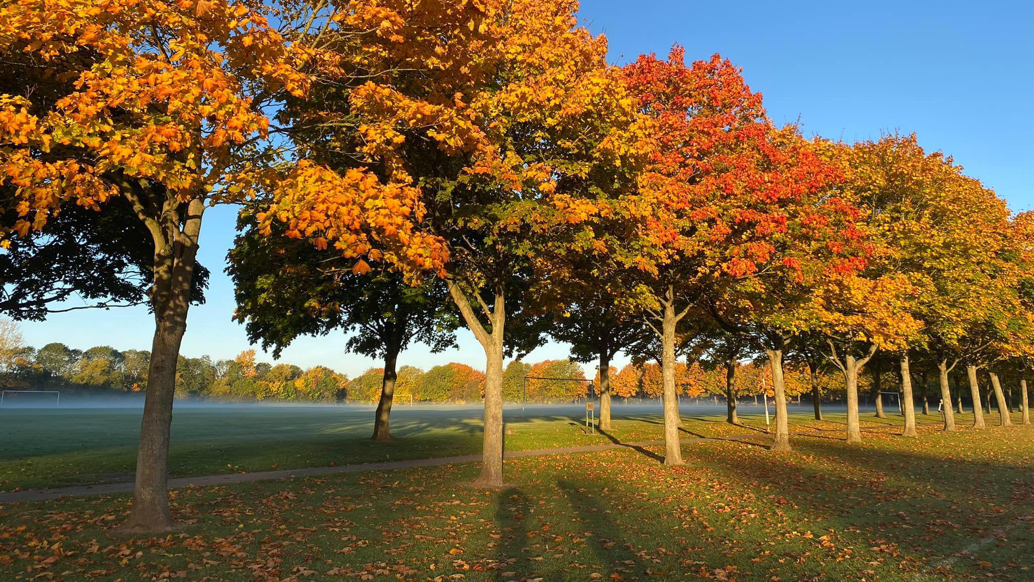 Trees with orange and red leaves lining a footpath, with football pitches in the background