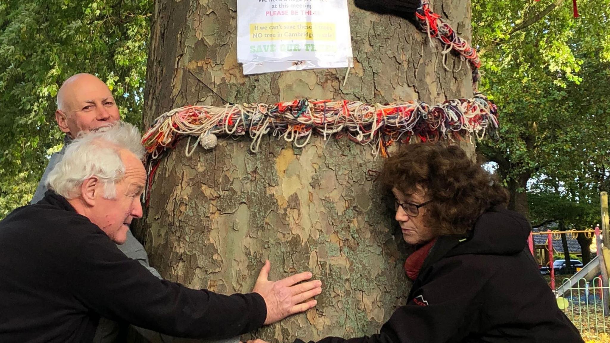 A close up of a large tree with three people showing circling it. They hold hands around the tree . A multi coloured rope is also around the tree with a laminated sign saying 'save out tree'