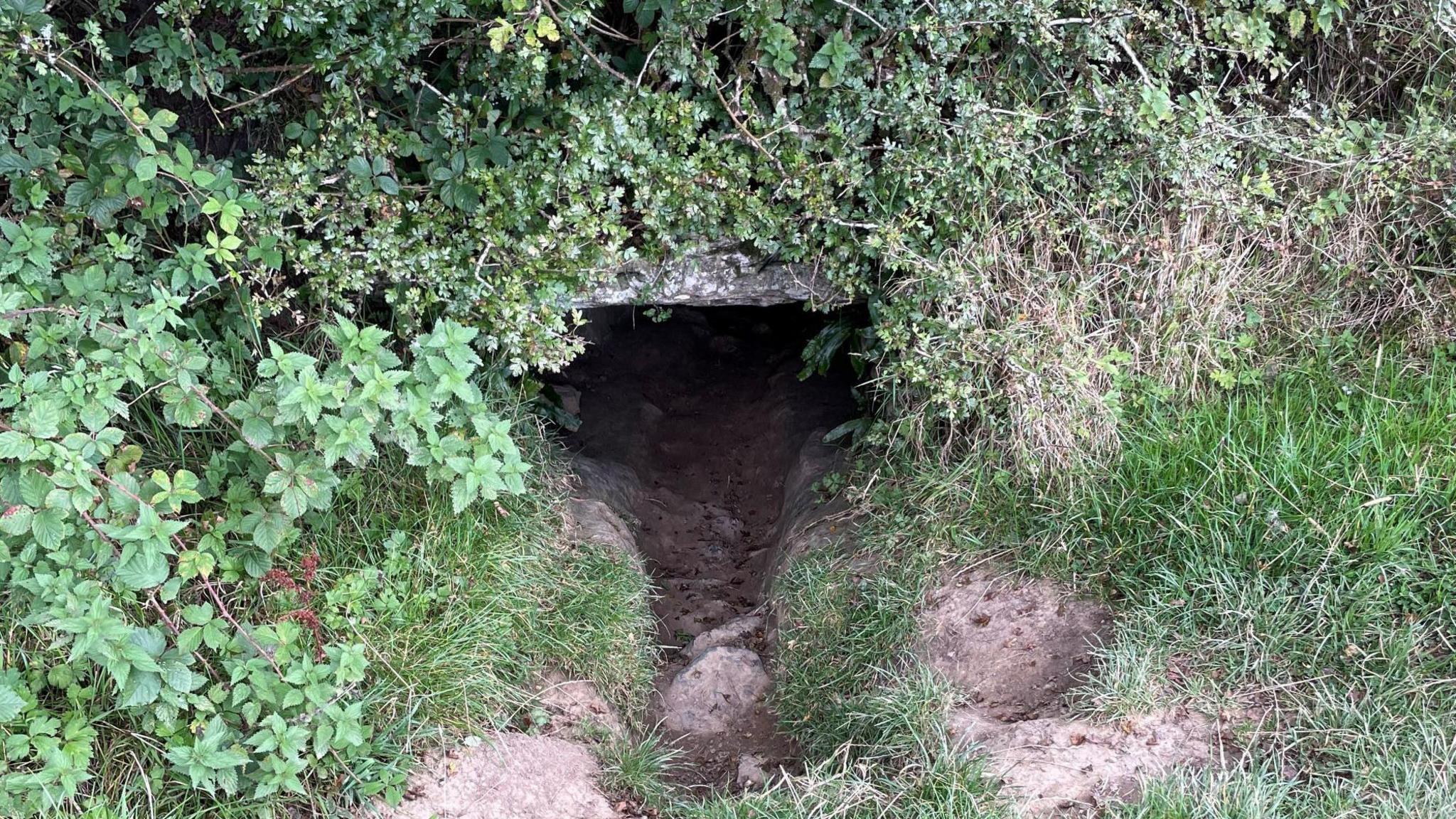 An entrance to Ireland's so-called Gate to Hell. It is a small stone entry surrounded by green bushes and nettles.