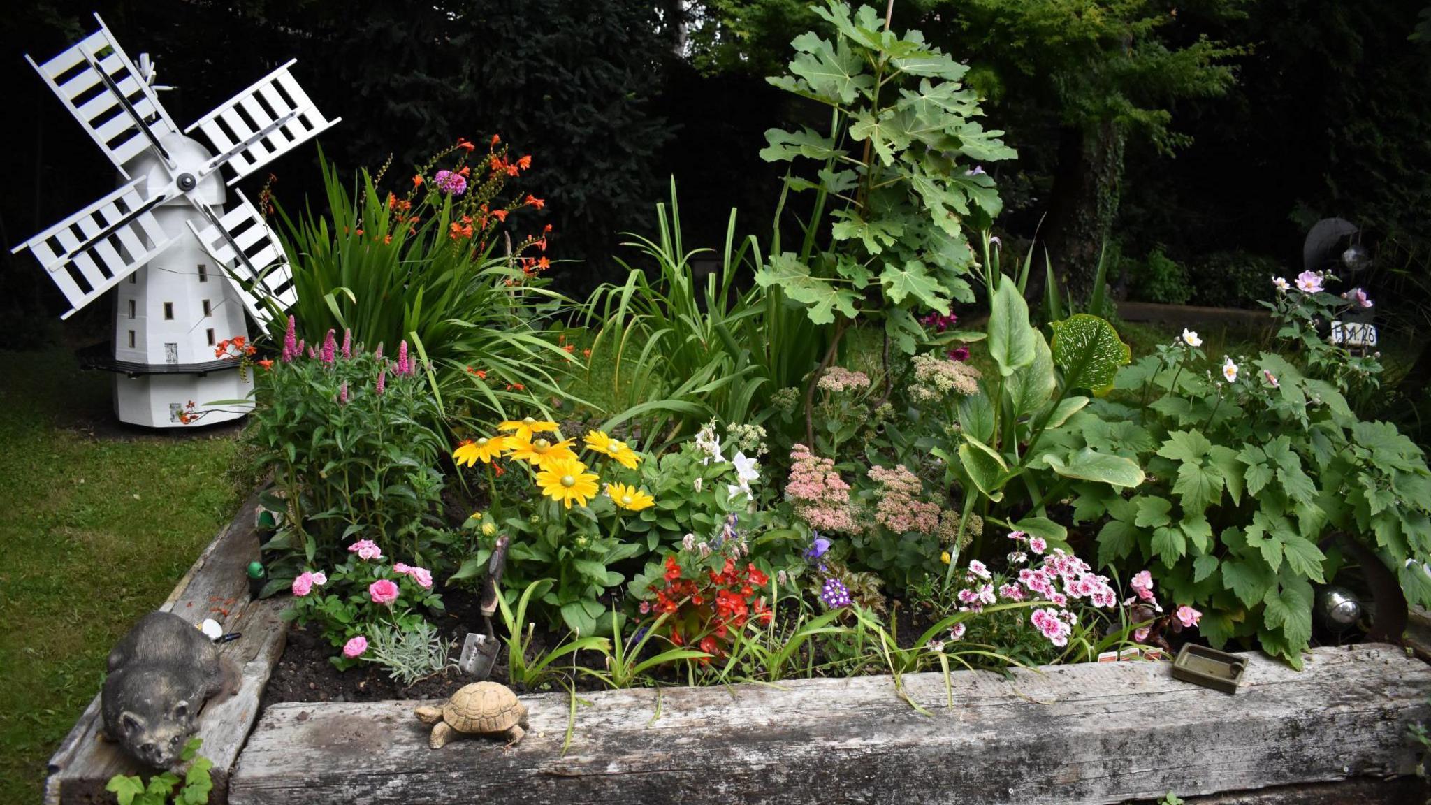 An area of a garden, with lots of plants and flowers planted in a patch of turf marked by wooden blocks. The flower bed includes leafy plants, and yellow, red, purple and pink flowers. A mini windmill is in the background behind the flower bed.