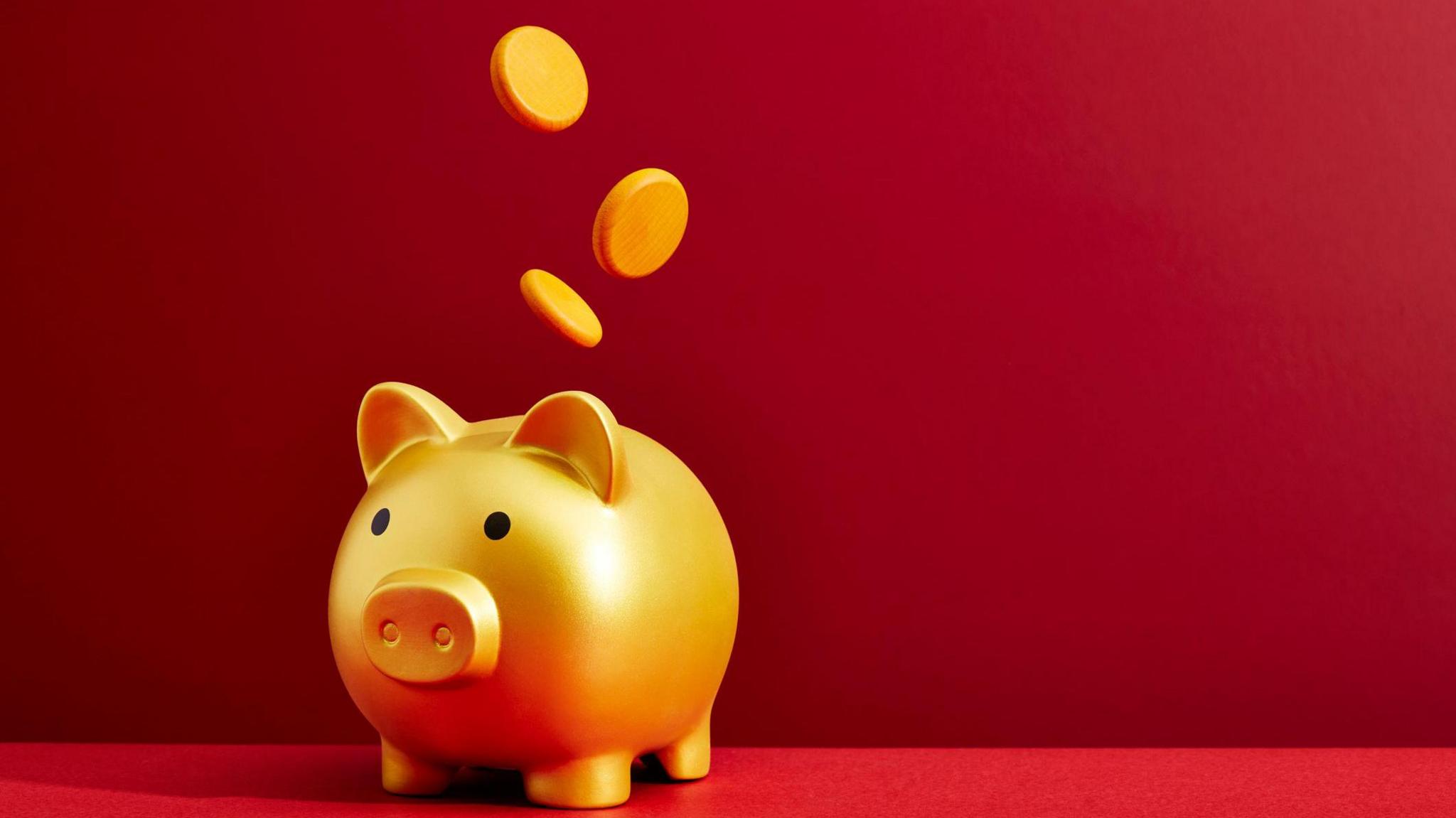 Coins dropping into a piggy bank - stock photo