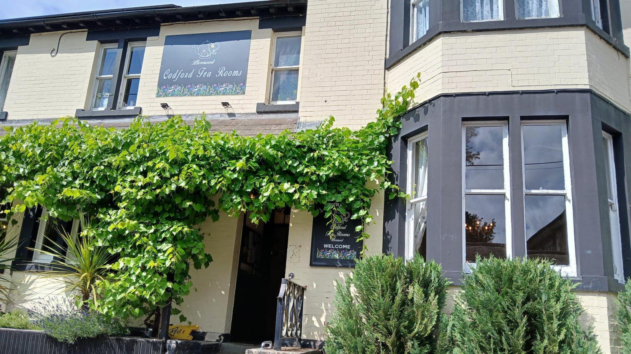 A brick building painted cream and grey, with lush green plants creeping up the wall and Codford Tea Rooms painted on the front