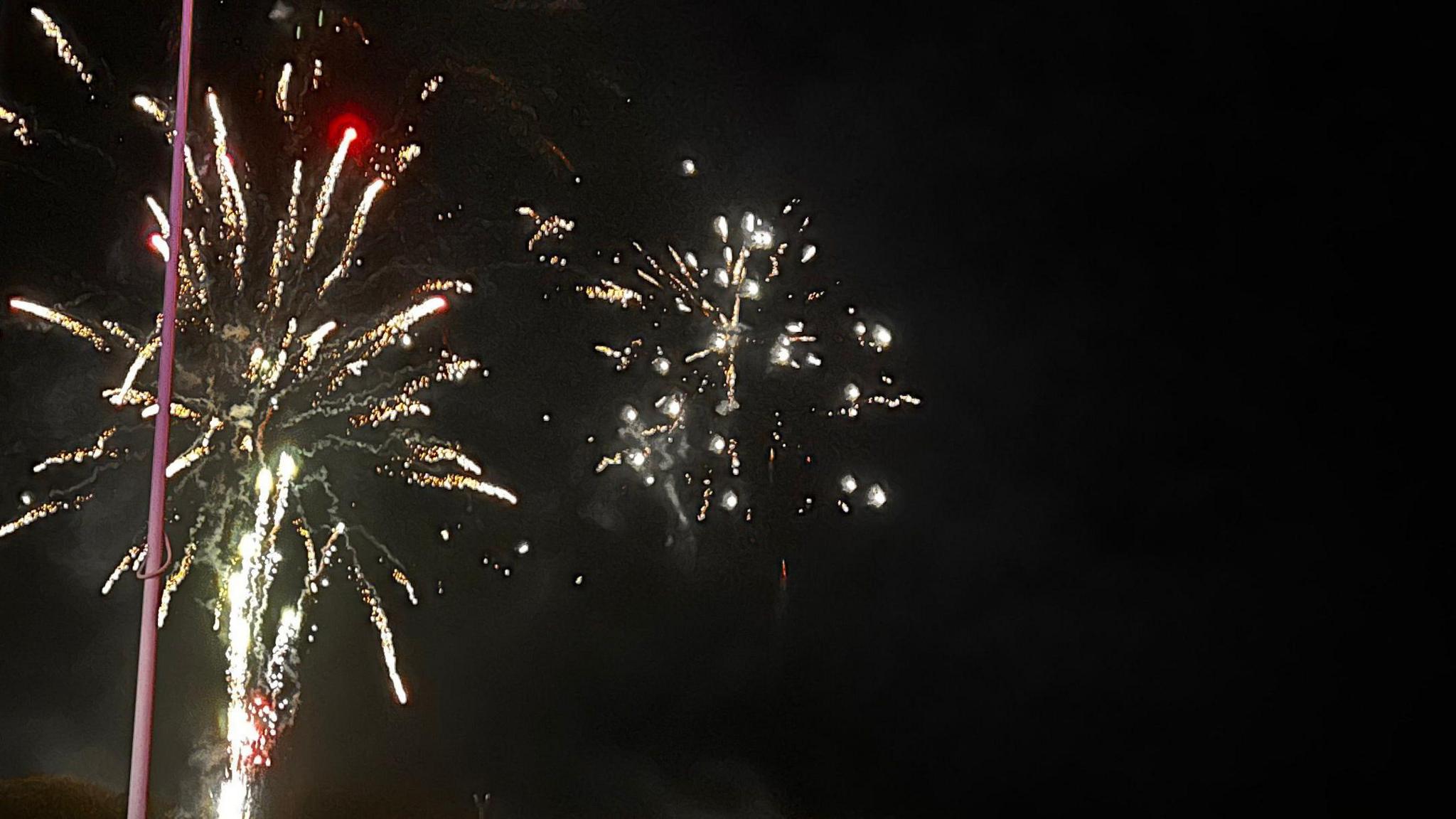 Gold, green and white fireworks lighting up the night sky. 