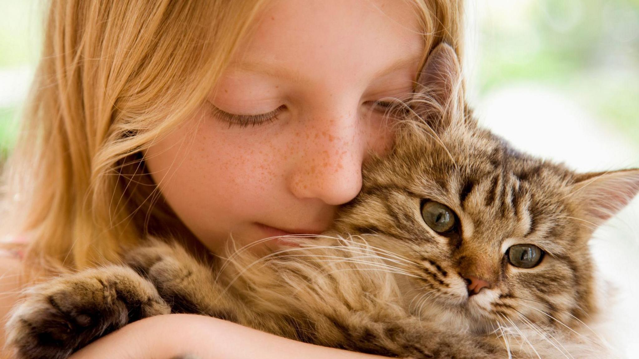 Close up picture of girl holding a cat.