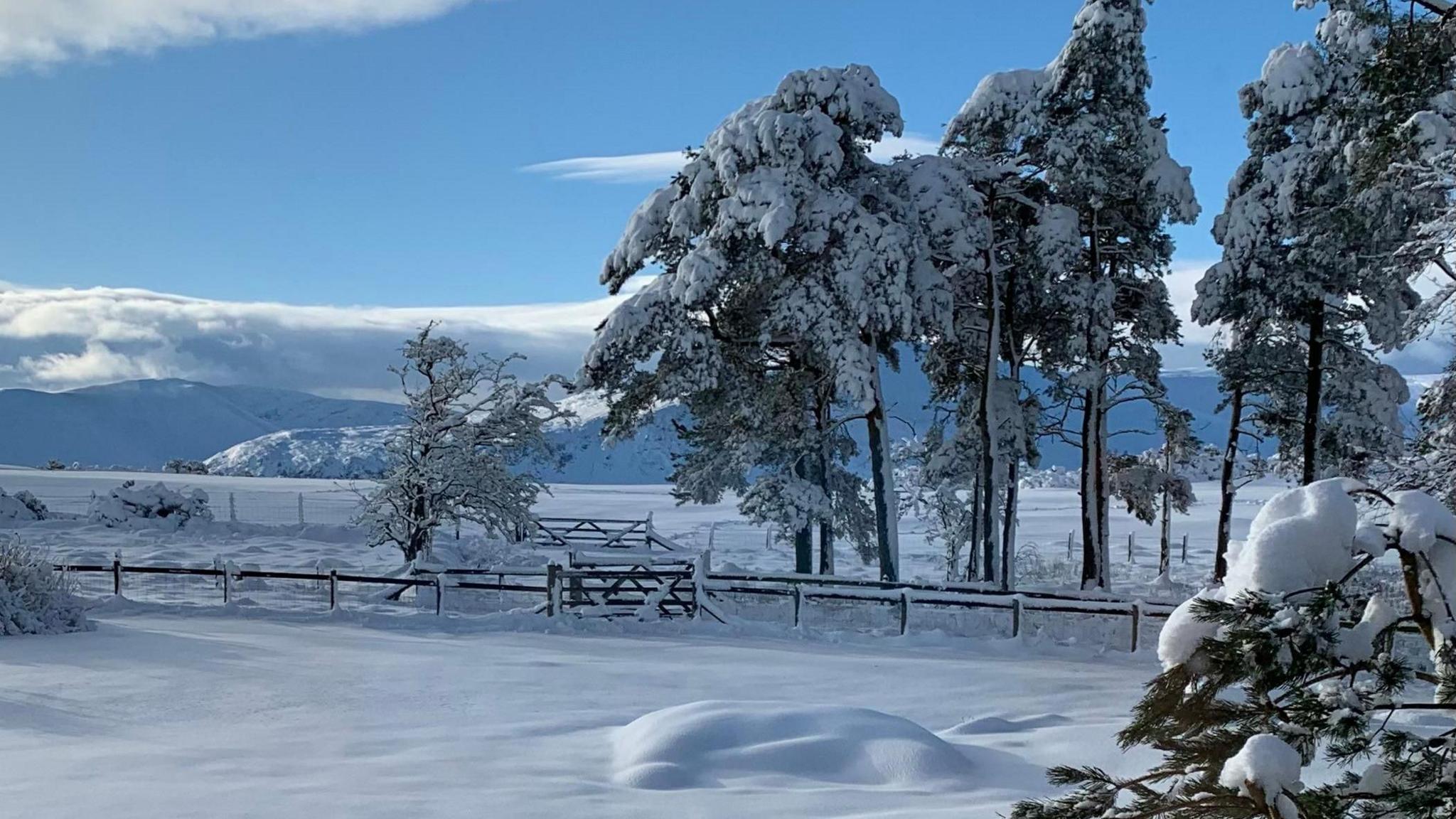 deep snow covering the ground and mountains in the background.  Some trees also covered in snow.  blue skies overhead.