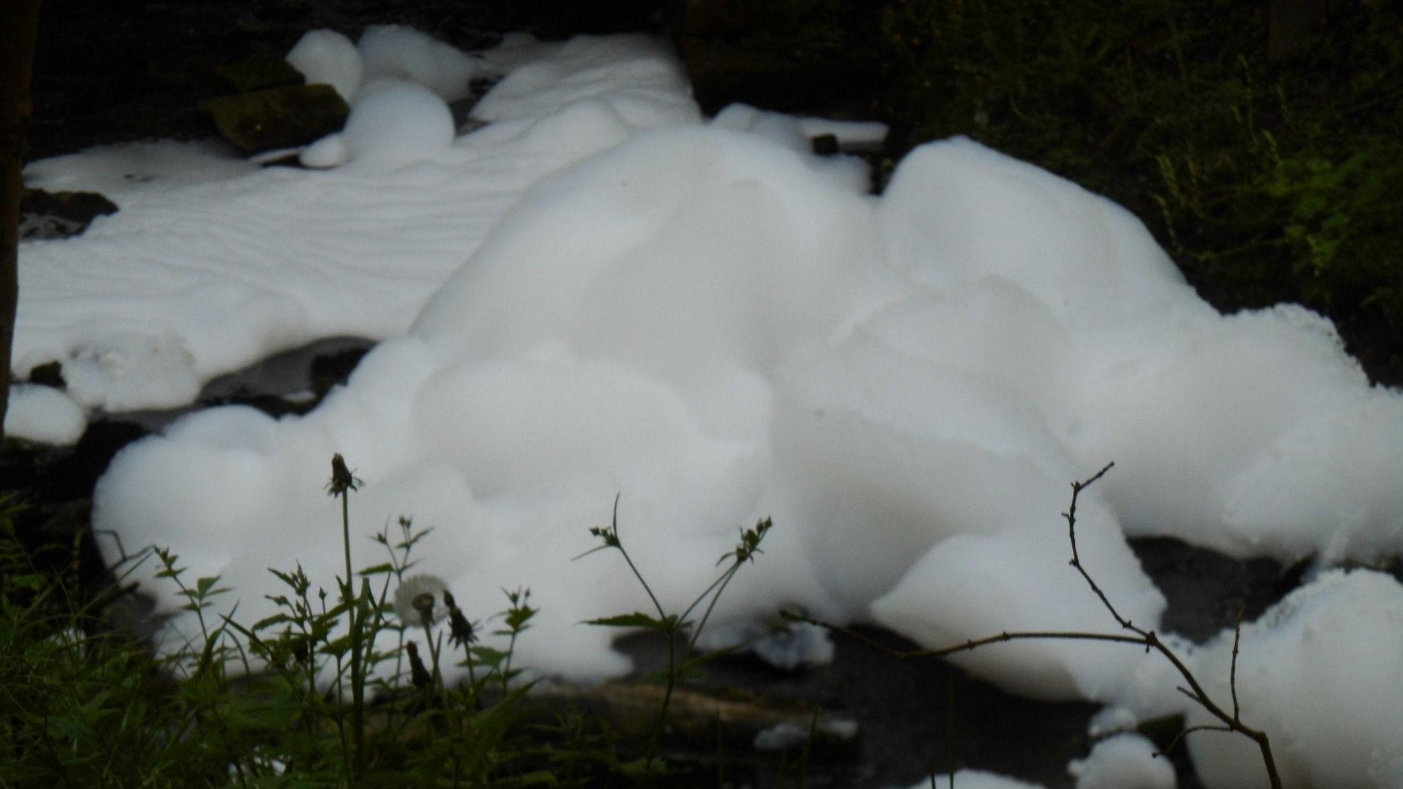 The foam in the river