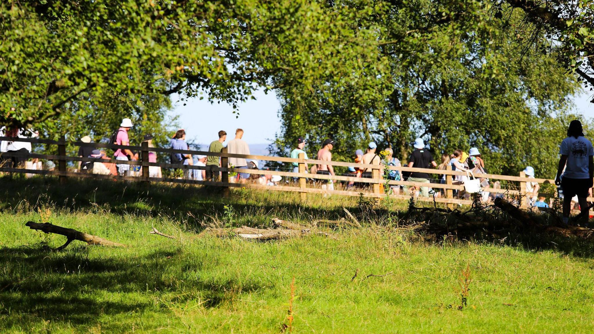 Dozens of Oasis fans wearing T-shirts, shorts and bucket hats stand on a grass-covered hill behind a fence and between trees. The area has become known as Gallagher Hill, as it was the place where fans without tickets could catch a glimpse of the band's Heaton Park shows