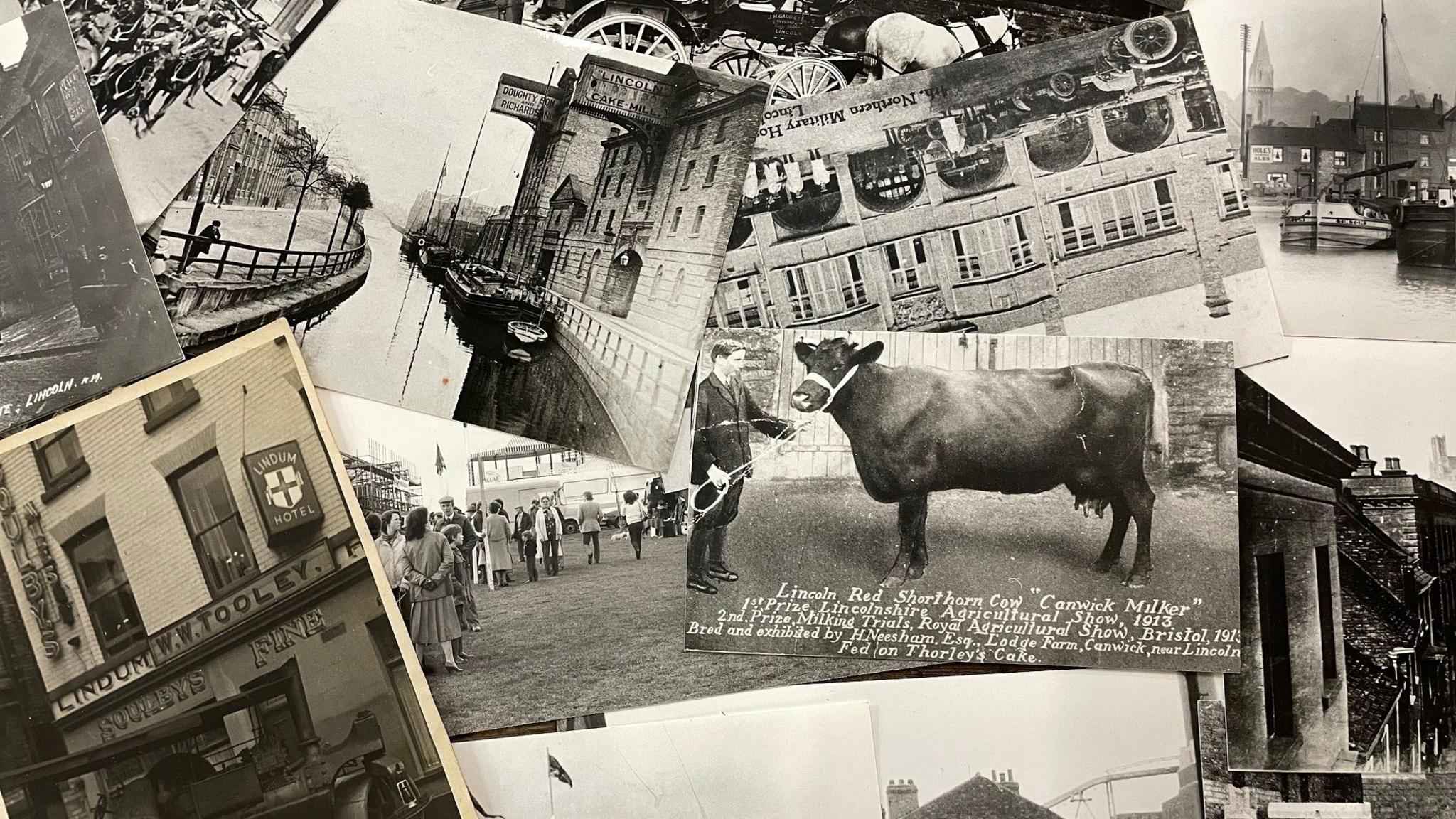 Thirteen black-and-white photographs spread across a table, including a 1913 image of a prize-winning cow; an image of a shop called F F Tooley, with a steamroller on the street outside; and a river scene with barges moored by a warehouse.