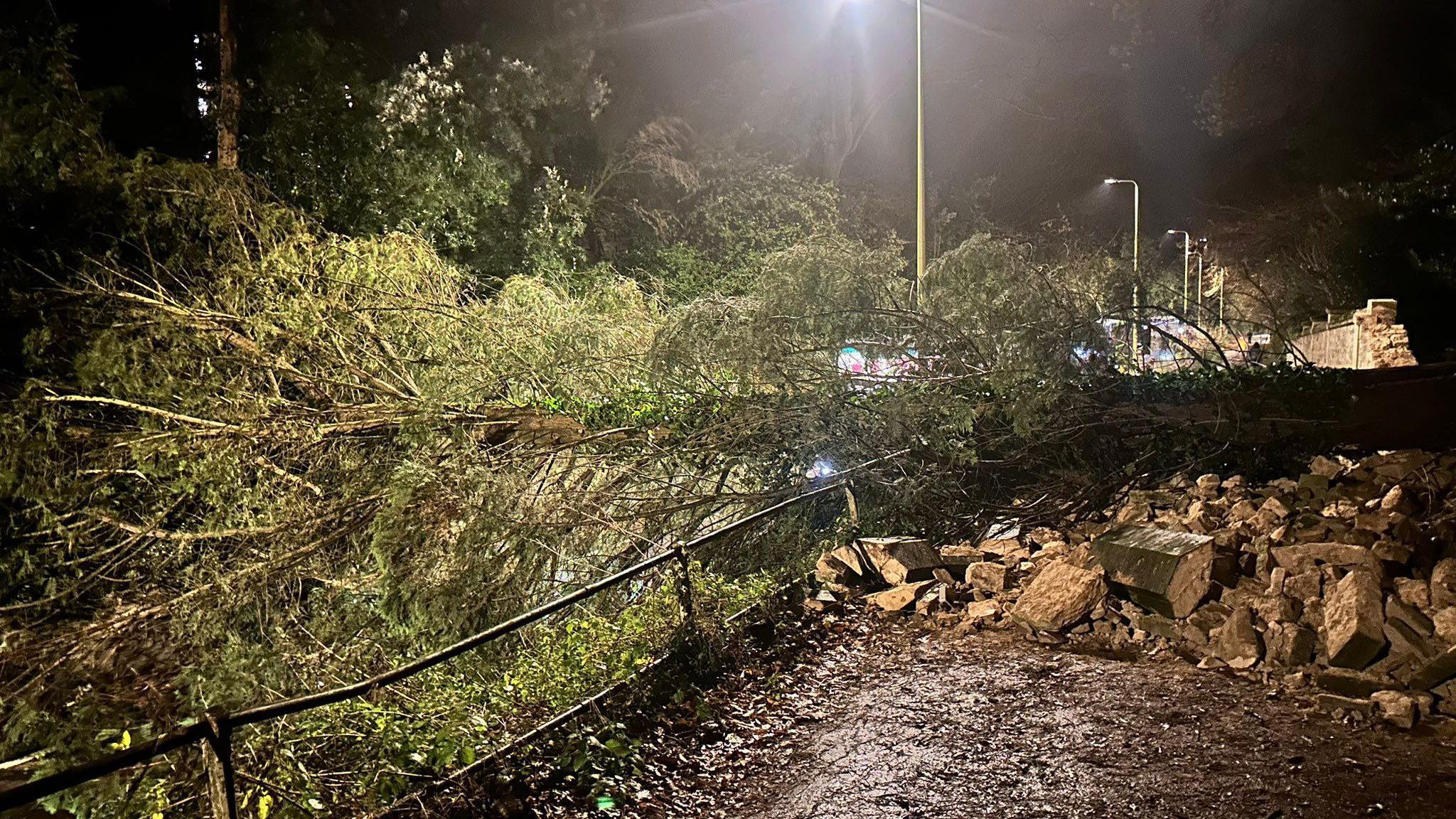 The trees that have fallen across Headington Hill Road. They have been blocking it since last night. There is debris everywhere.