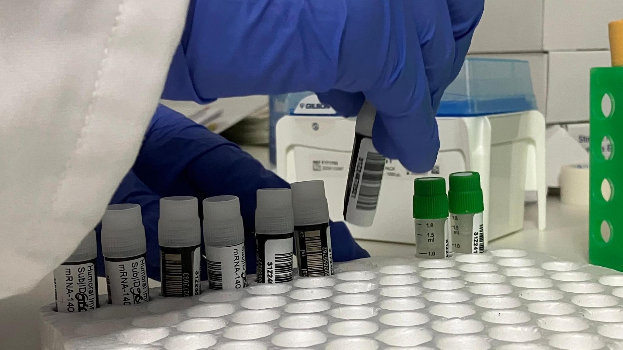 Close up of a hand slotting a vial of vaccine into a tray